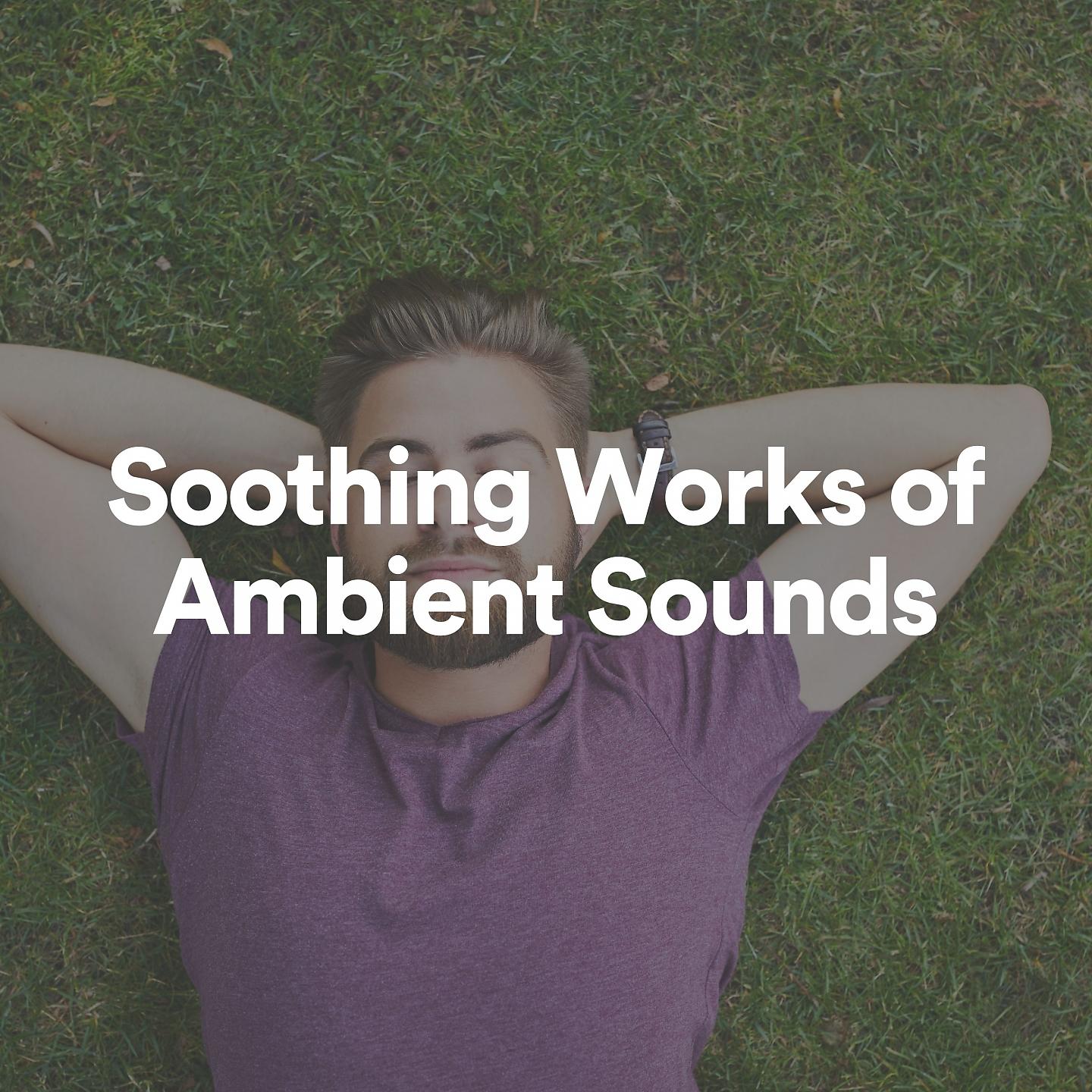 Постер альбома Soothing Works of Ambient Sounds