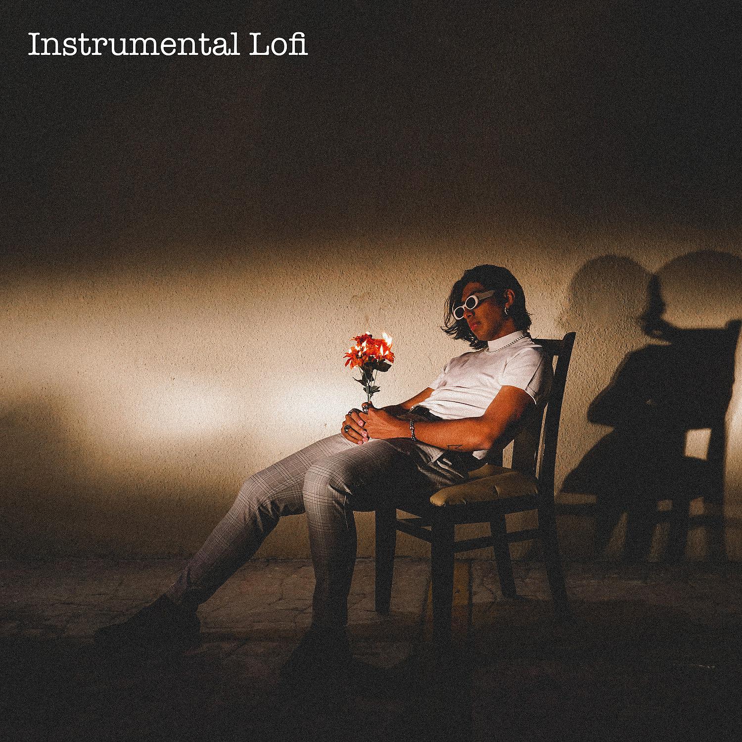 Постер альбома Instrumental Lofi