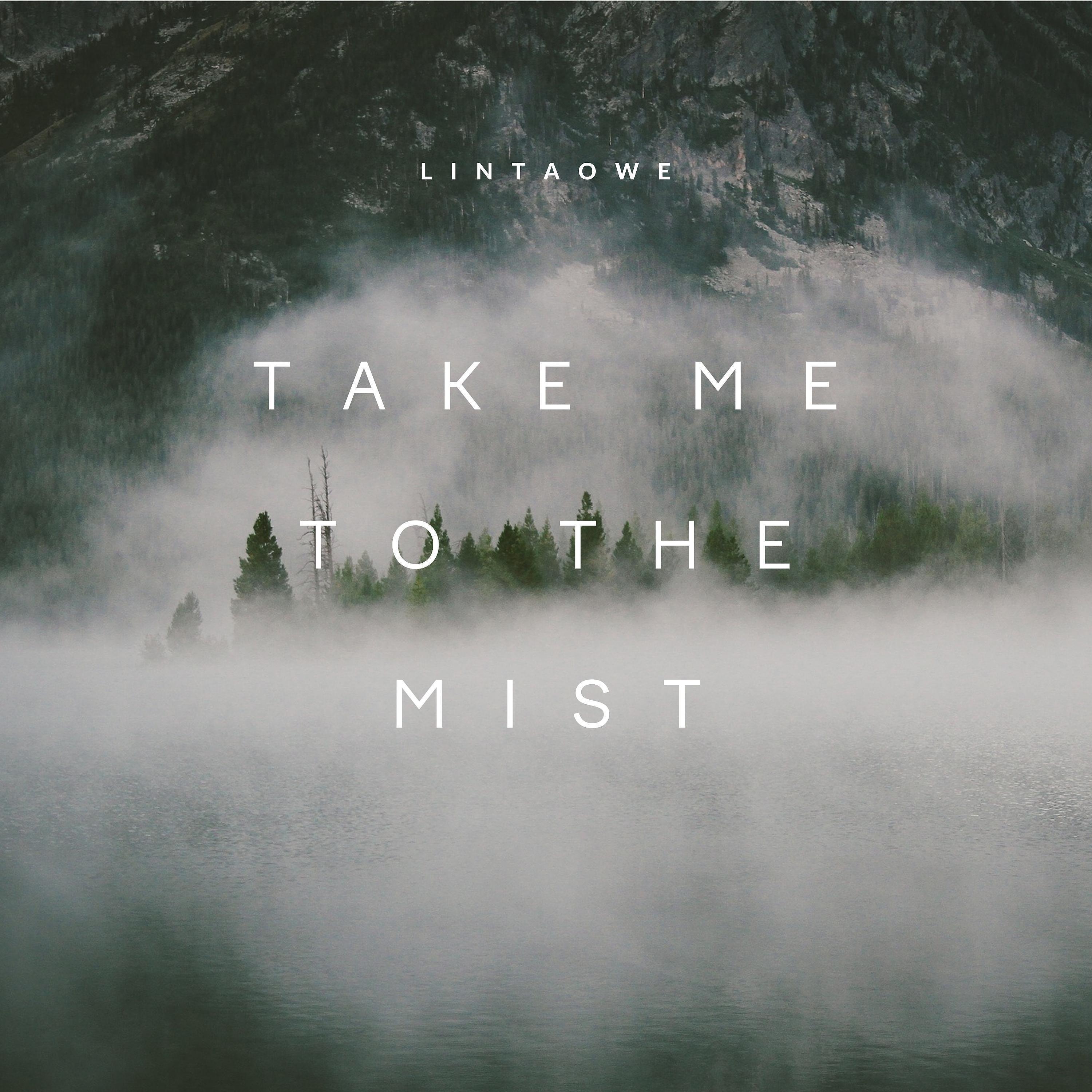 Постер альбома Take Me to the Mist
