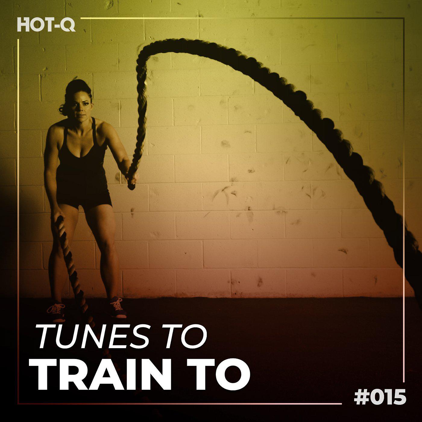 Постер альбома Tunes To Train To 015