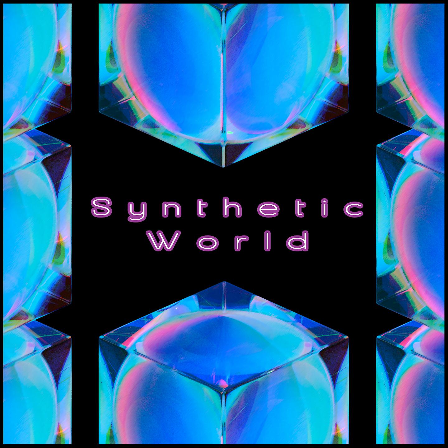 Постер альбома Synthetic World