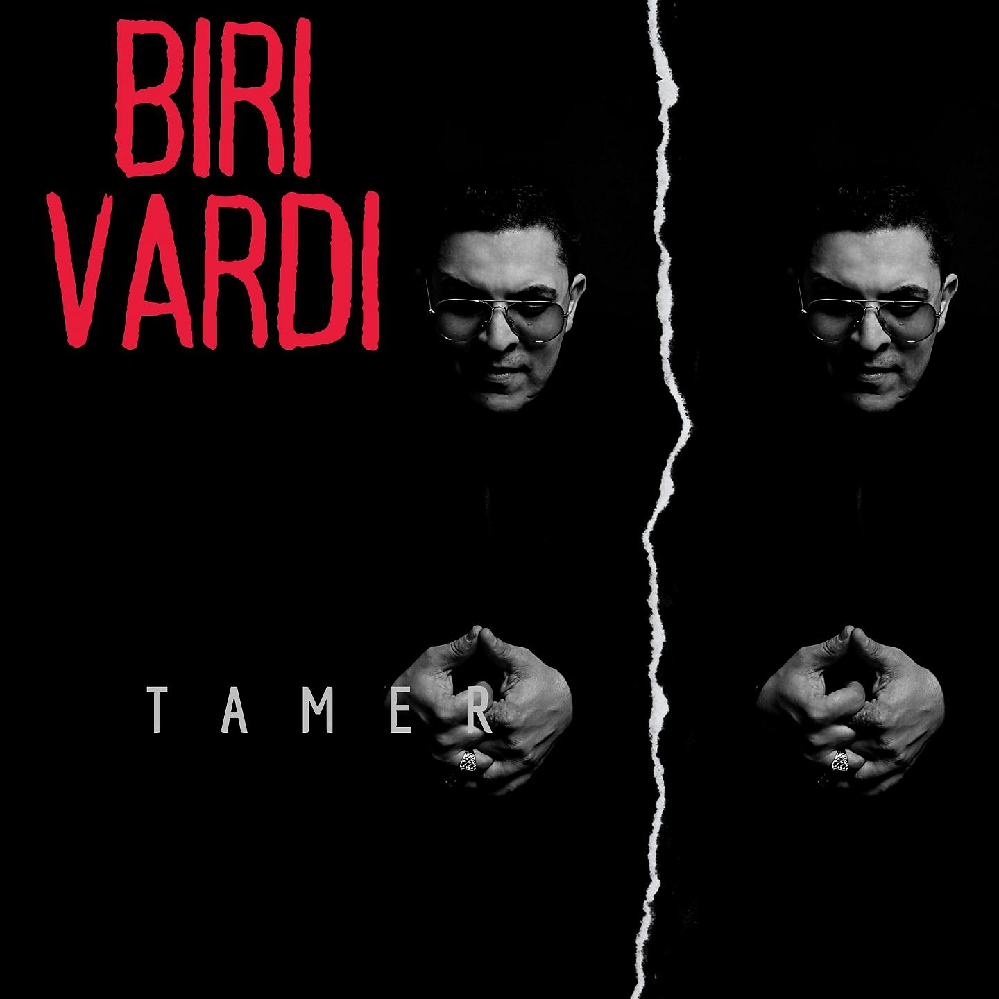 Постер альбома Biri Vardı