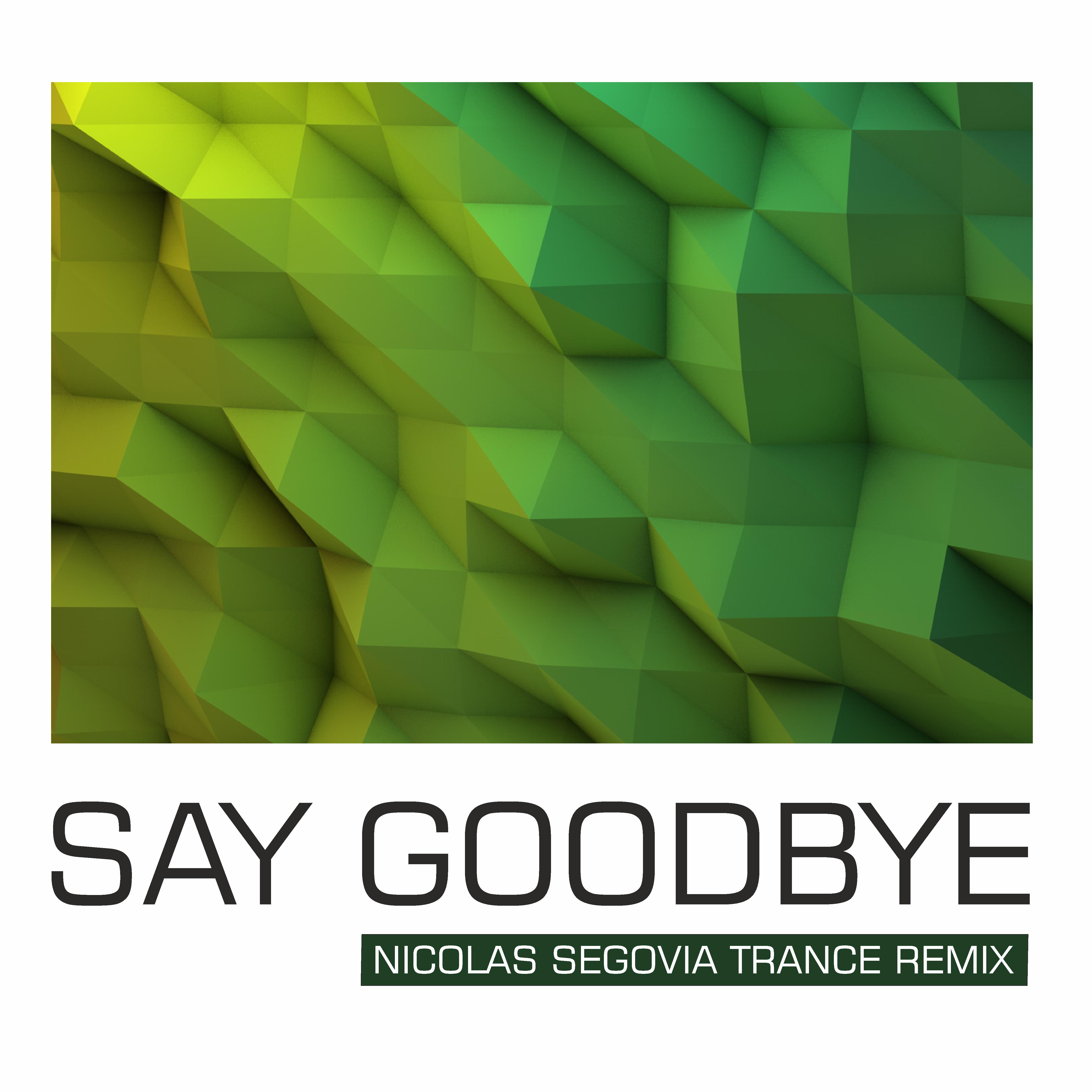 Постер альбома Say Goodbye Trance (Remix)