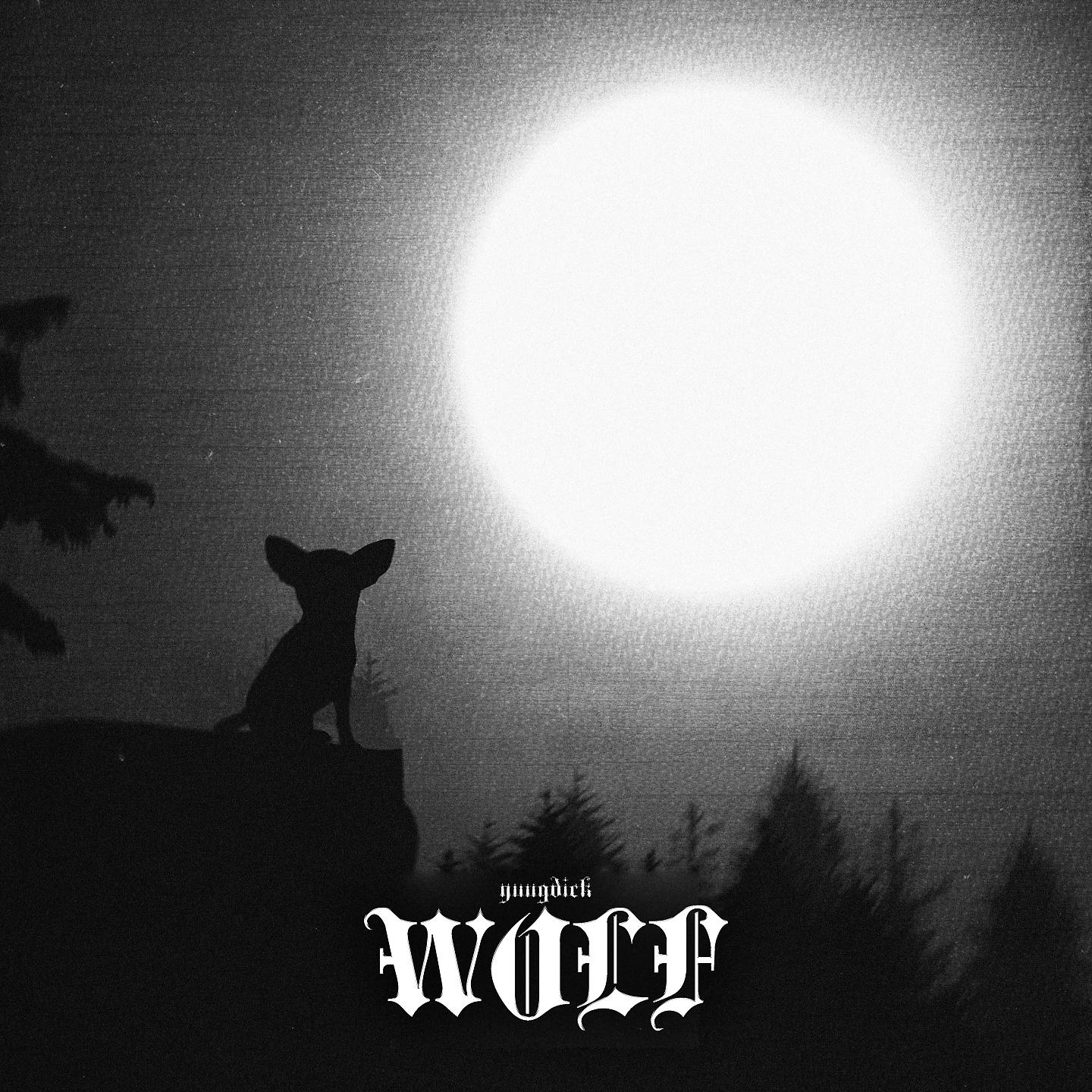 Постер альбома WOLF