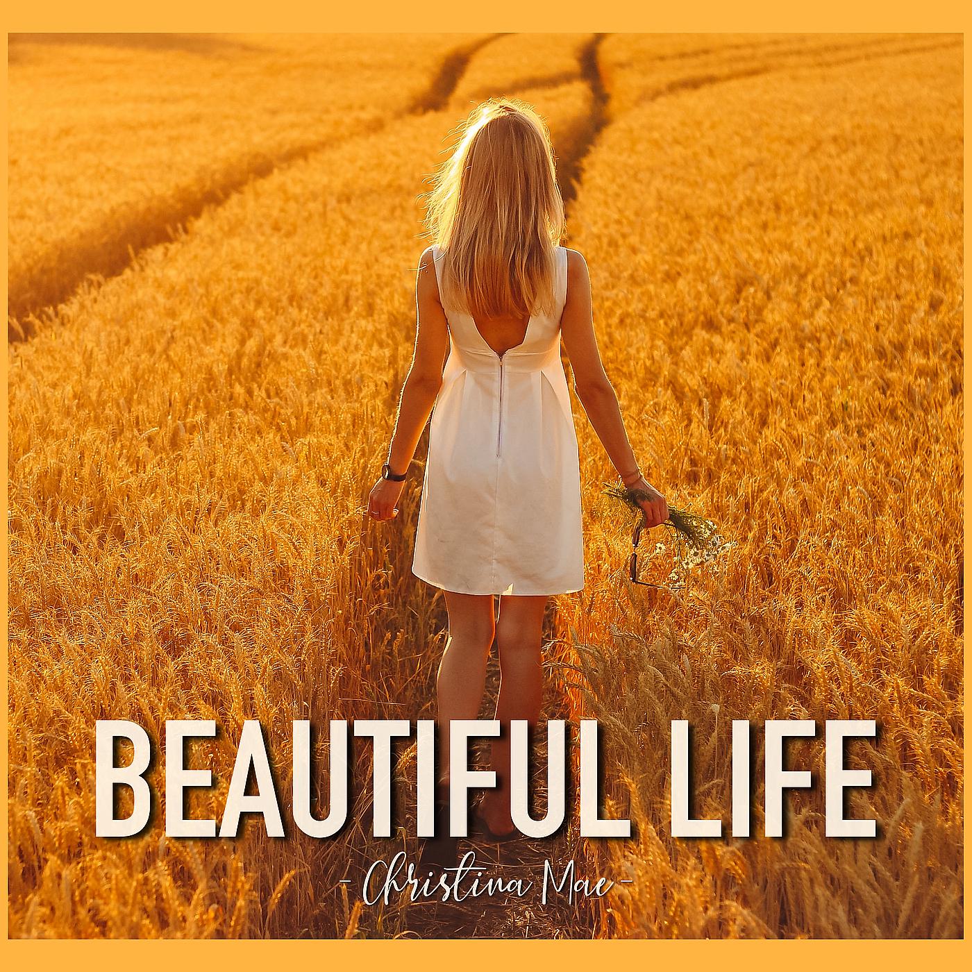 Постер альбома Beautiful Life