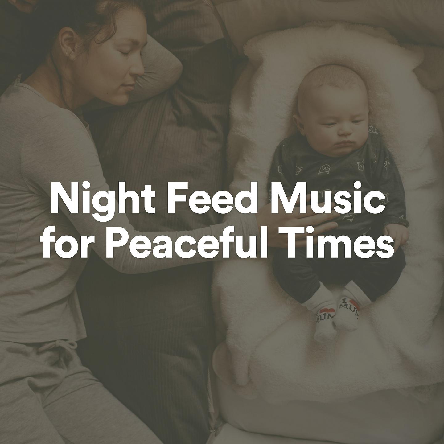 Постер альбома Night Feed Music for Peaceful Times