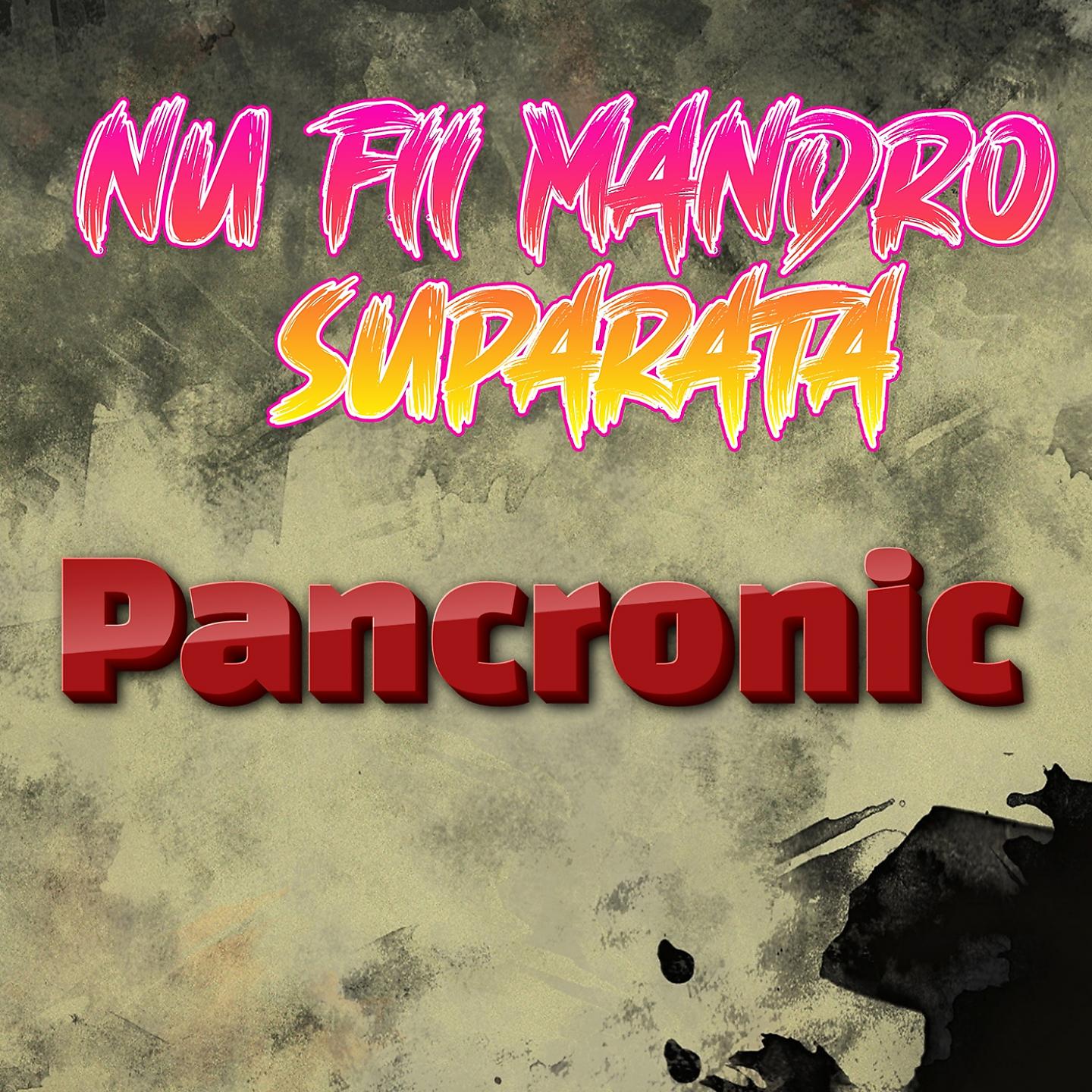 Постер альбома NU FII MANDRO SUPARATA
