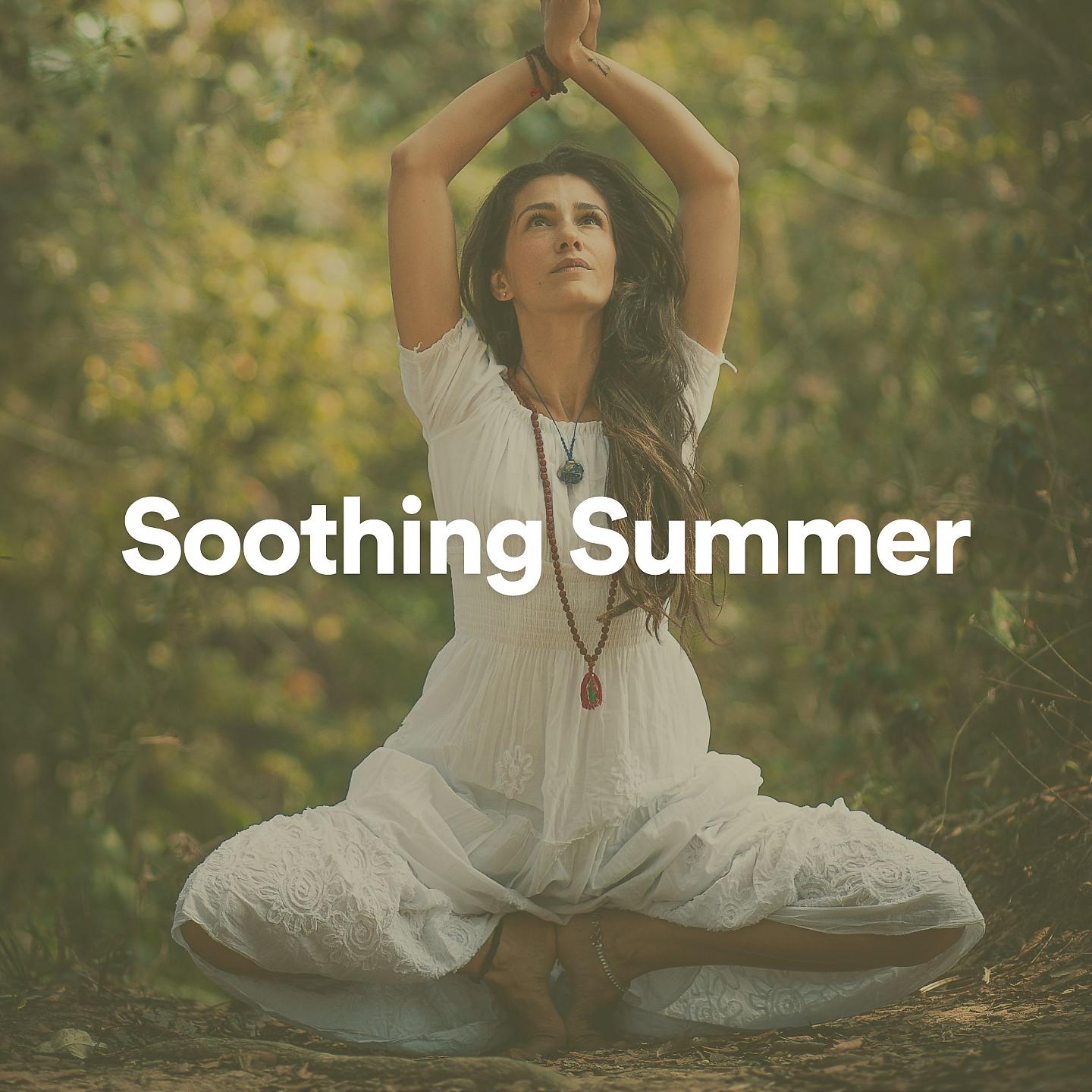 Постер альбома Soothing Summer