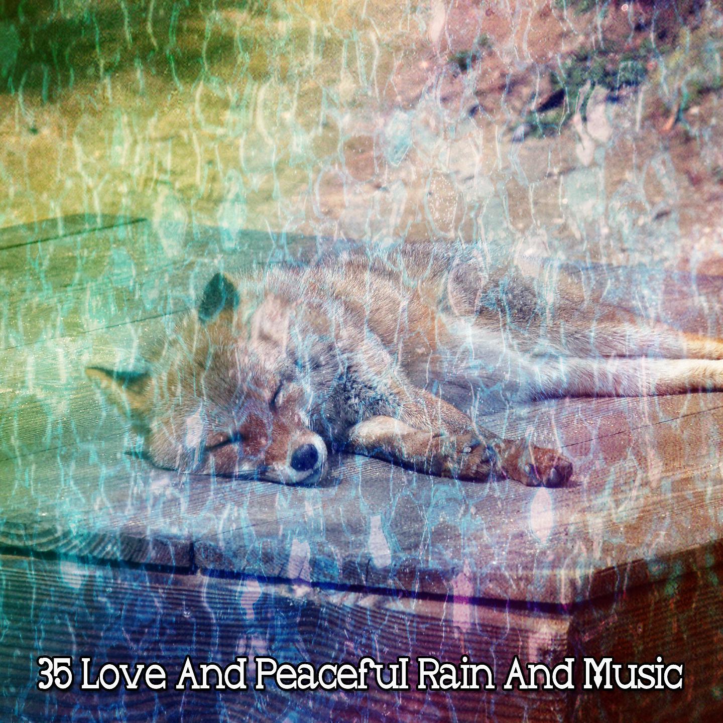 Постер альбома !!!! 35 Love And Peaceful Rain And Music !!!!
