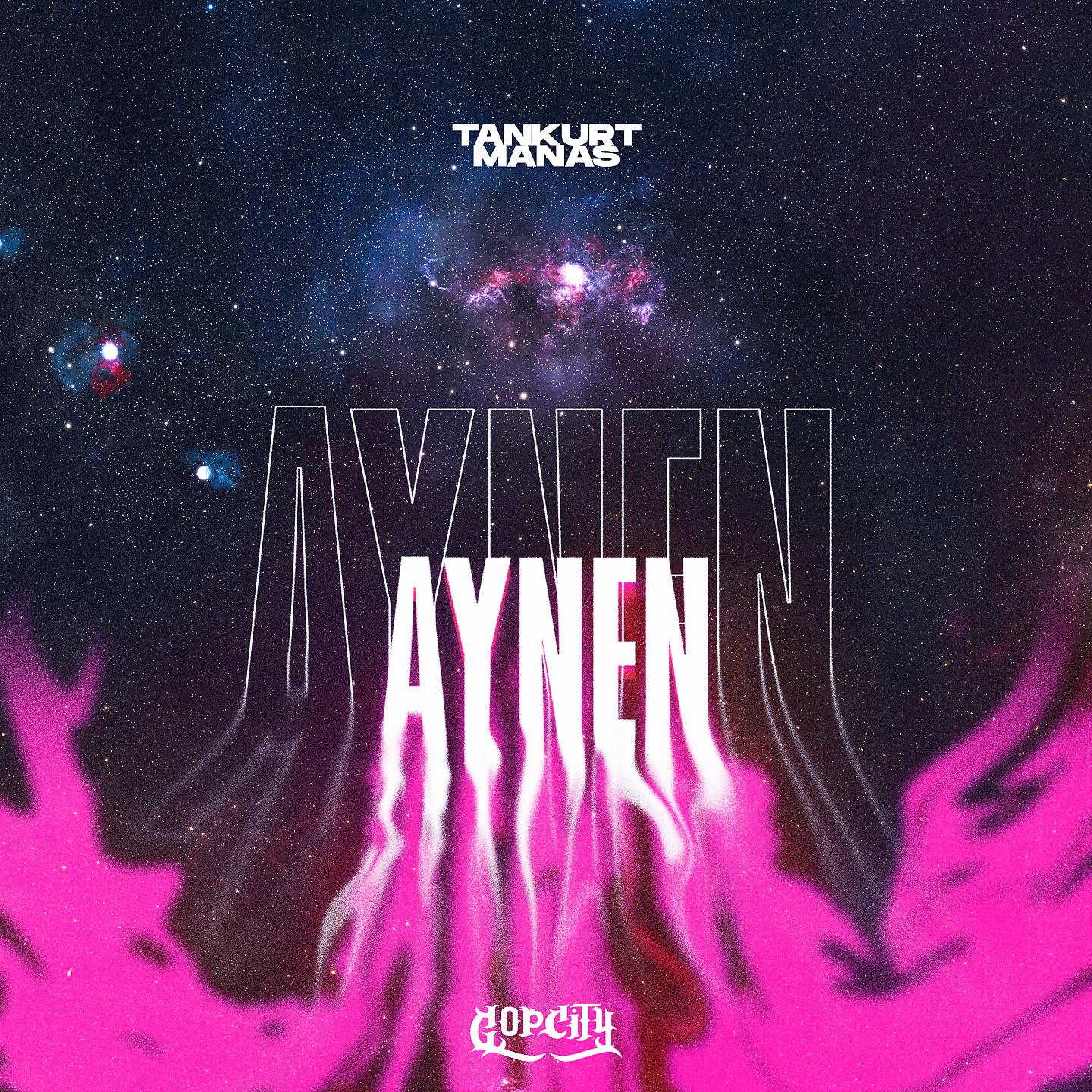 Постер альбома Aynen