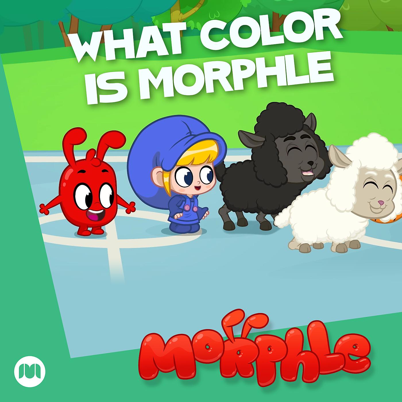 Постер альбома What Color Is Morphle