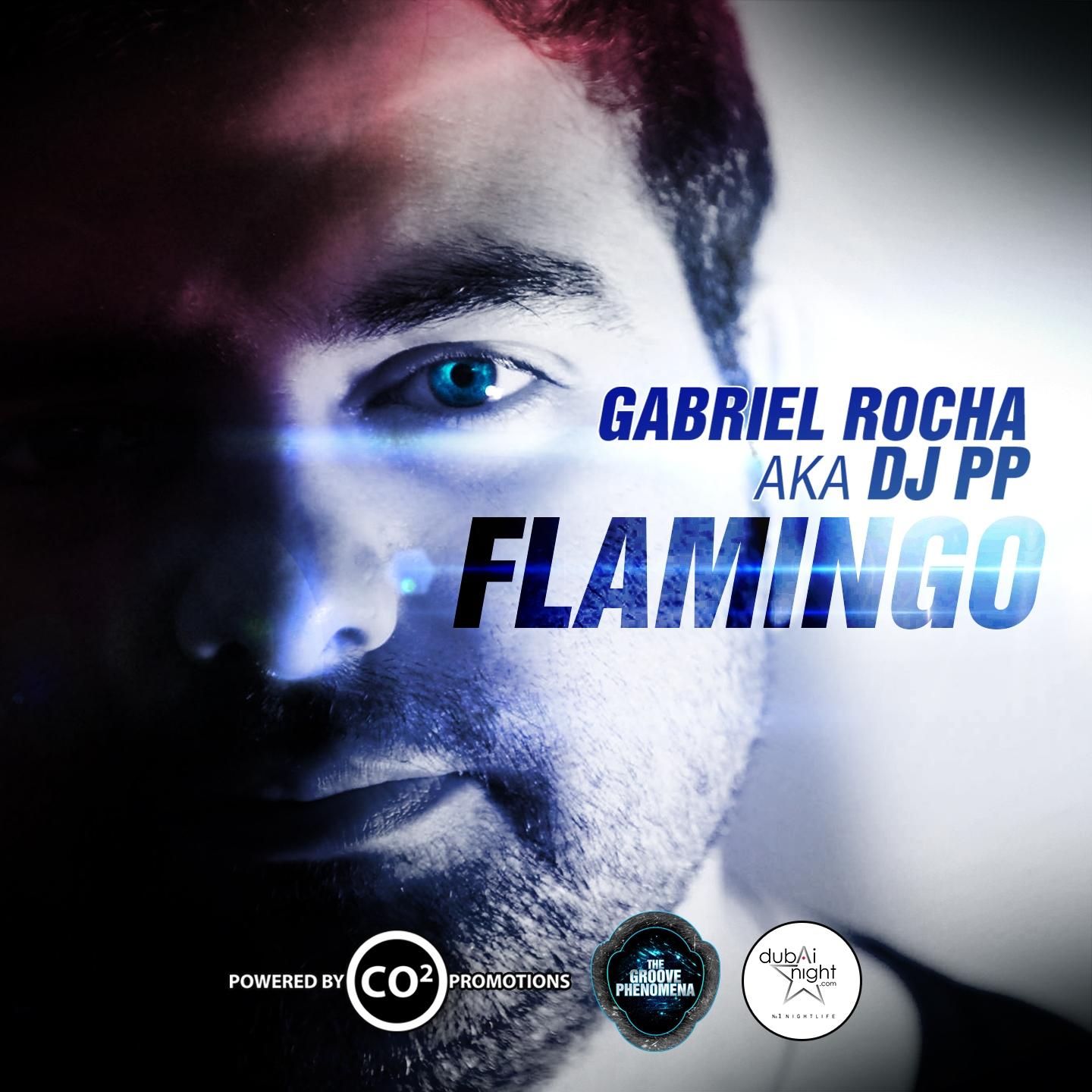 Постер альбома Flamingo (Gabriel Rocha aka DJ PP)