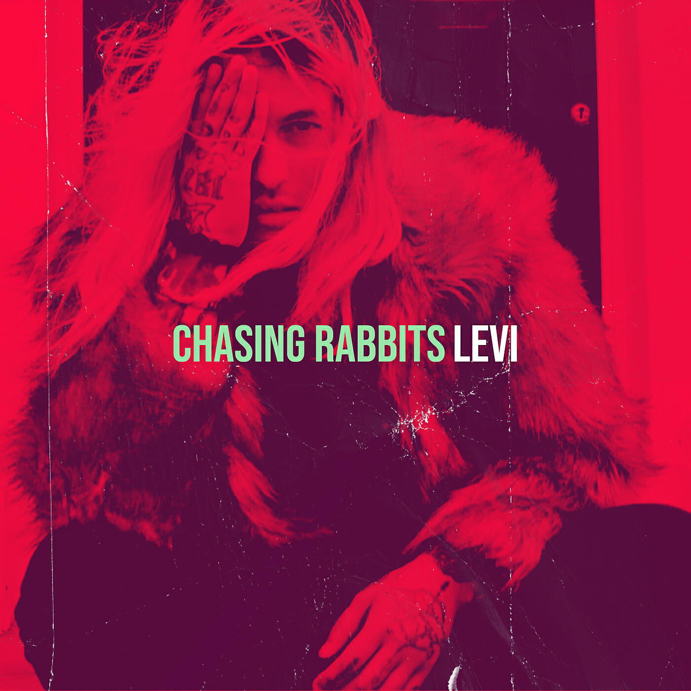 LEVI - Chasing Rabbits