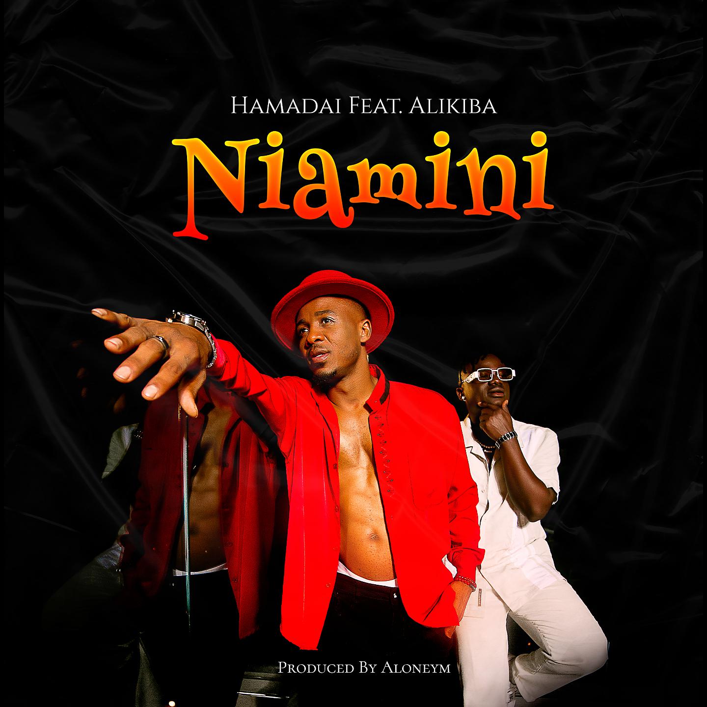 Постер альбома Niamini