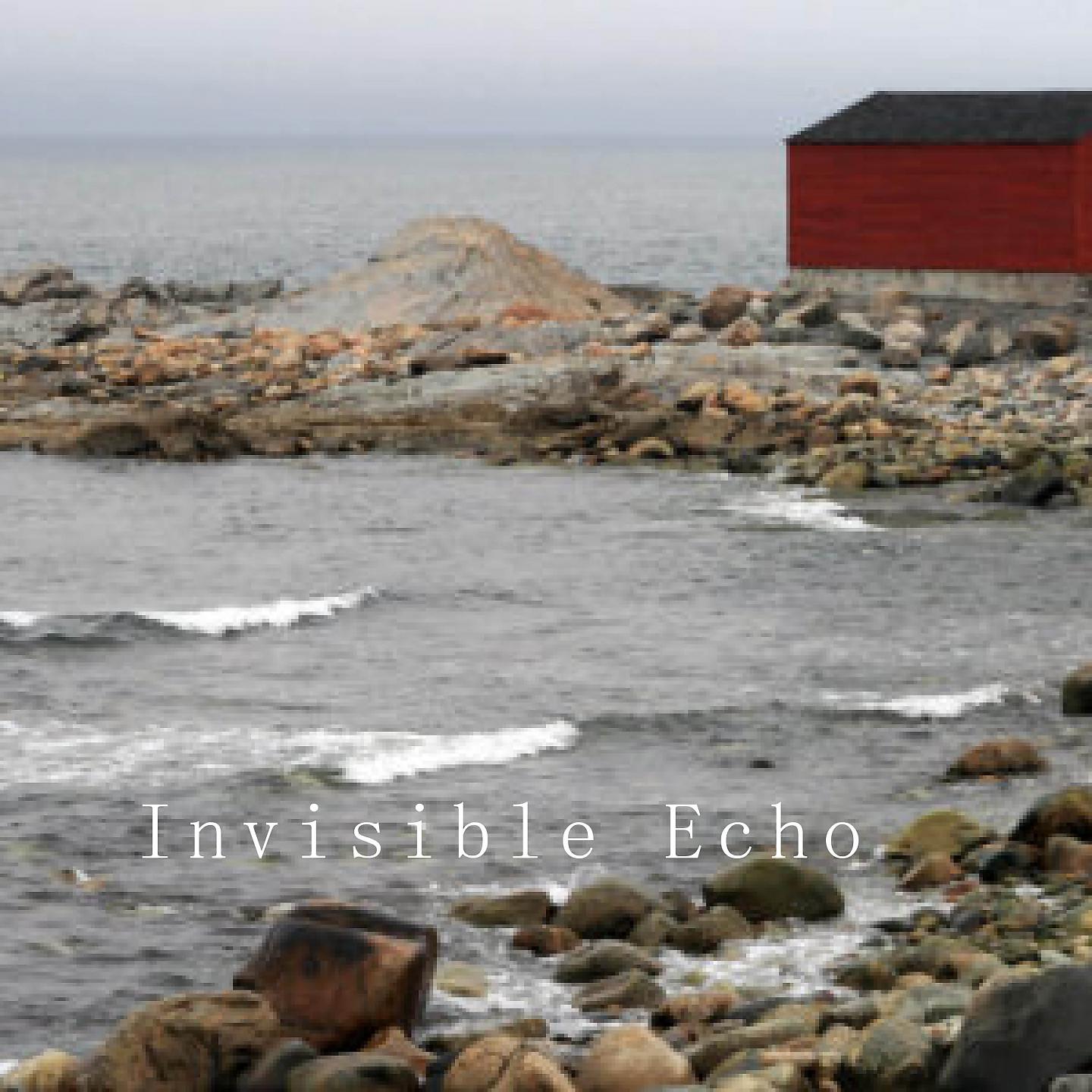 Постер альбома Invisible Echo