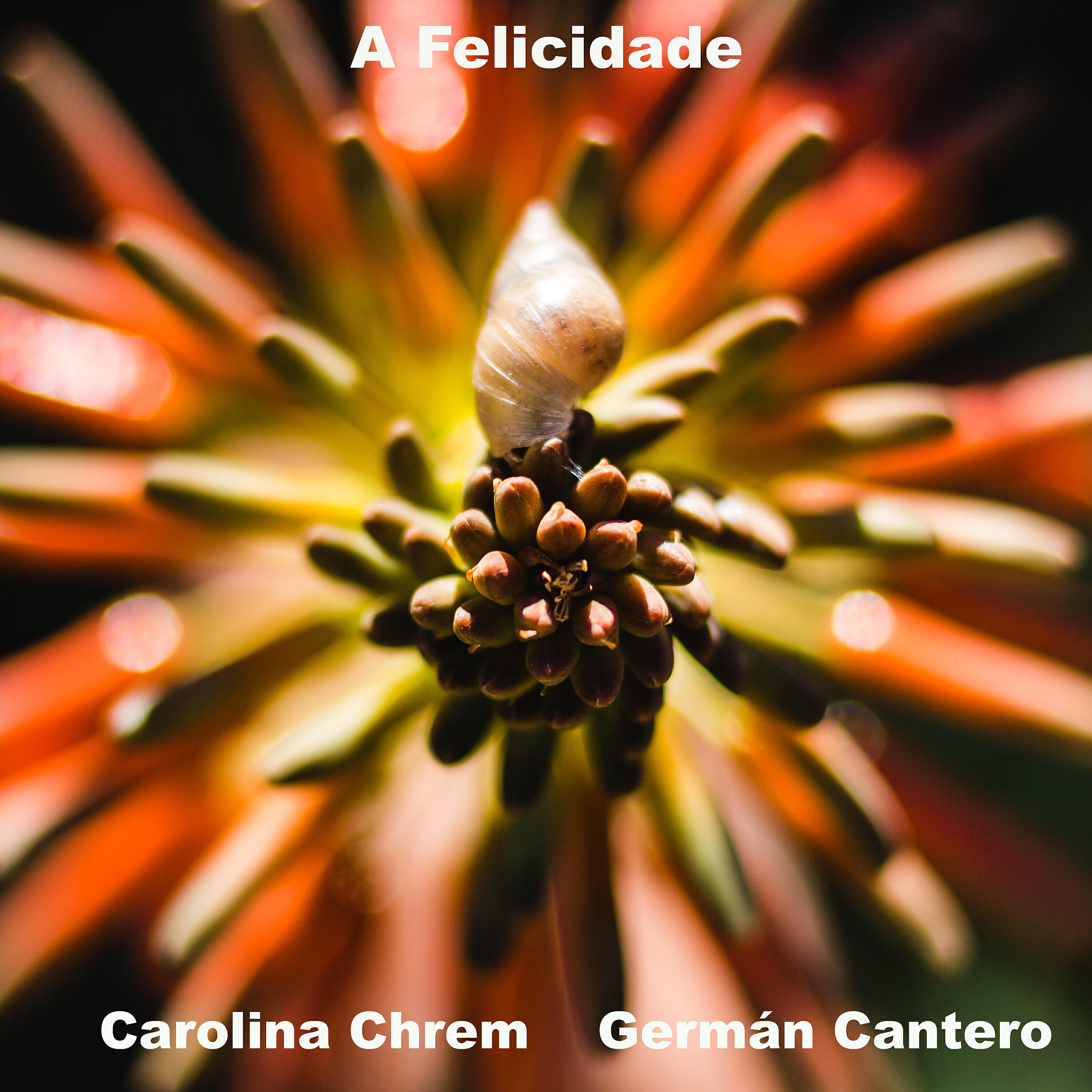 Carolina Chrem - A Felicidade