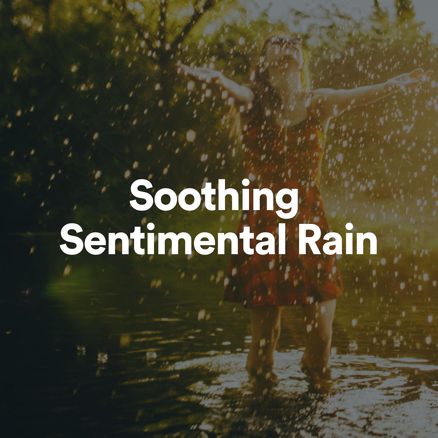 Постер альбома Soothing Sentimental Rain