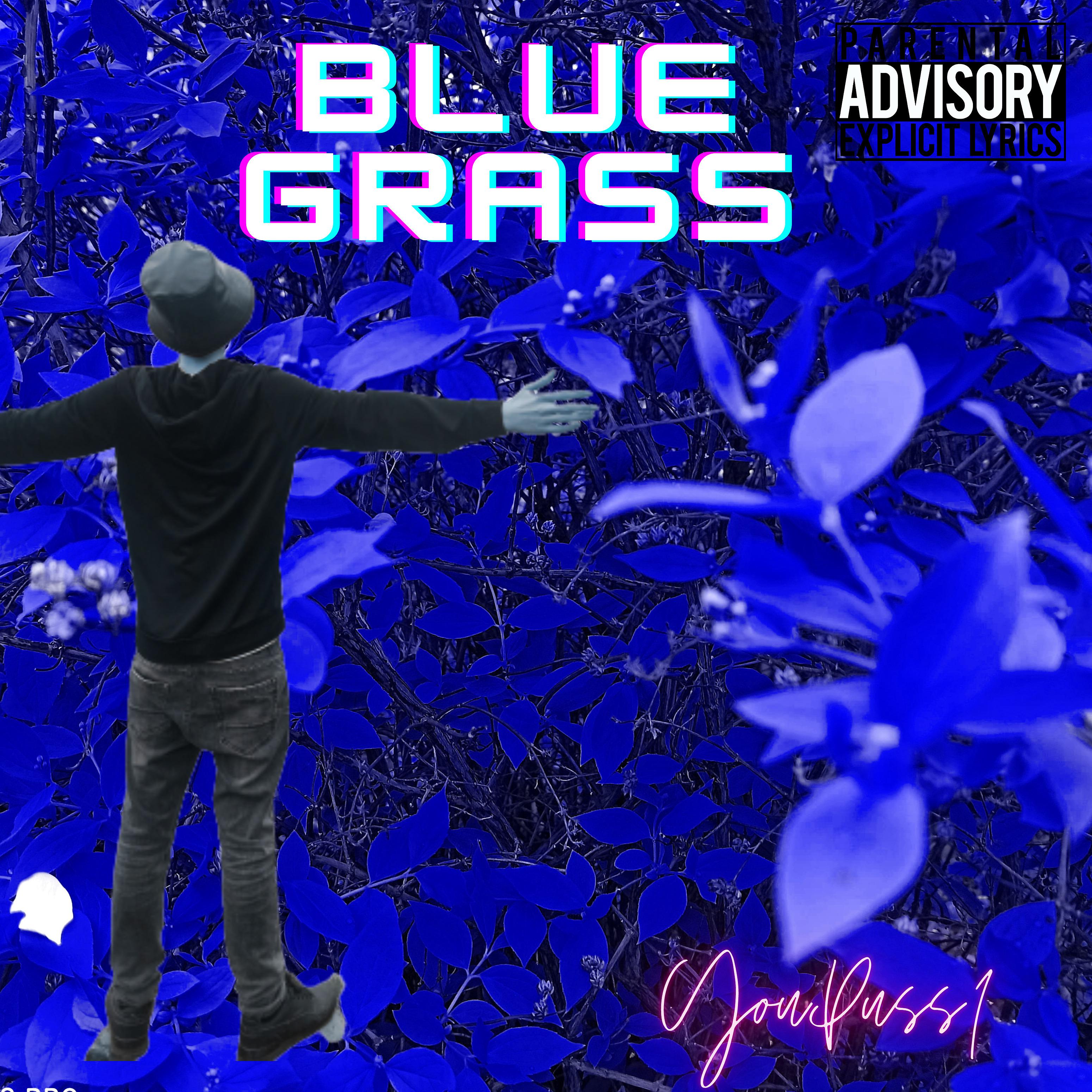 Постер альбома Blue Grass