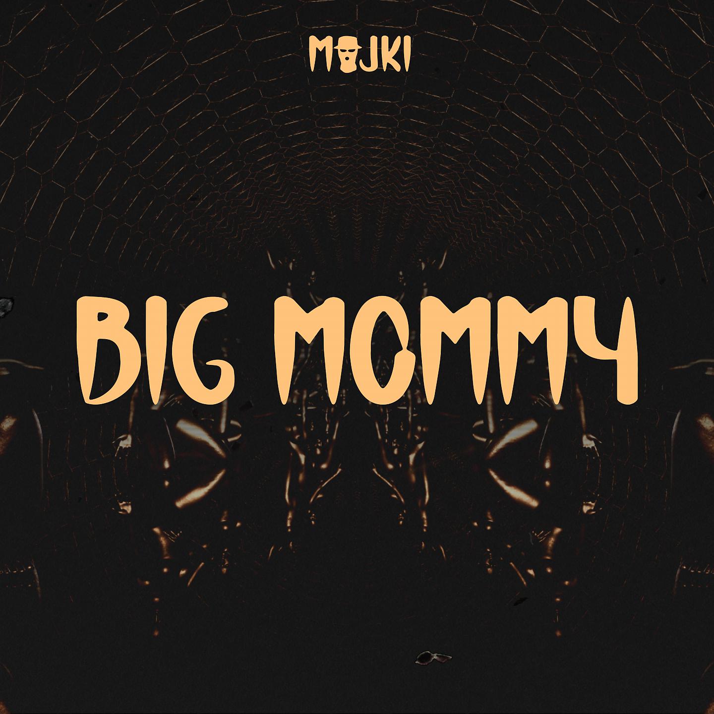 Постер альбома Big Mommy