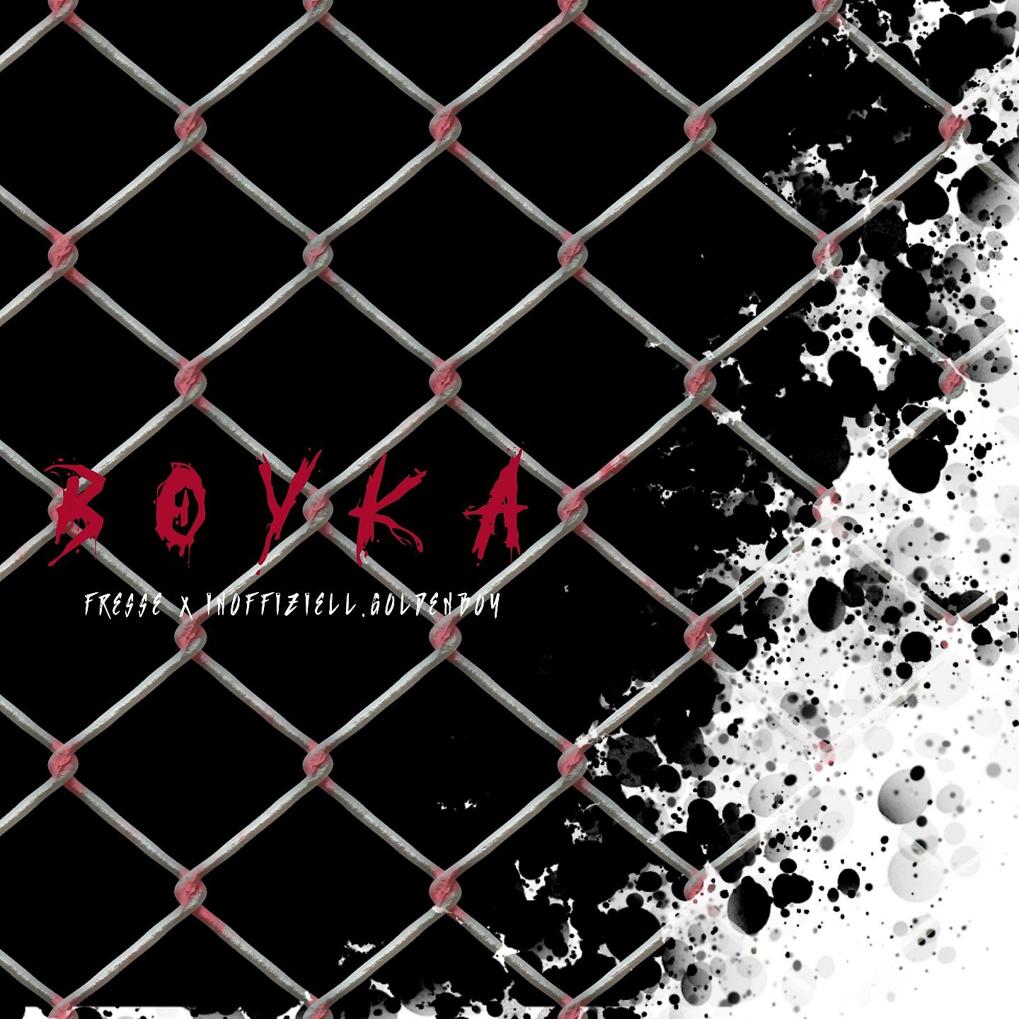 Постер альбома Boyka