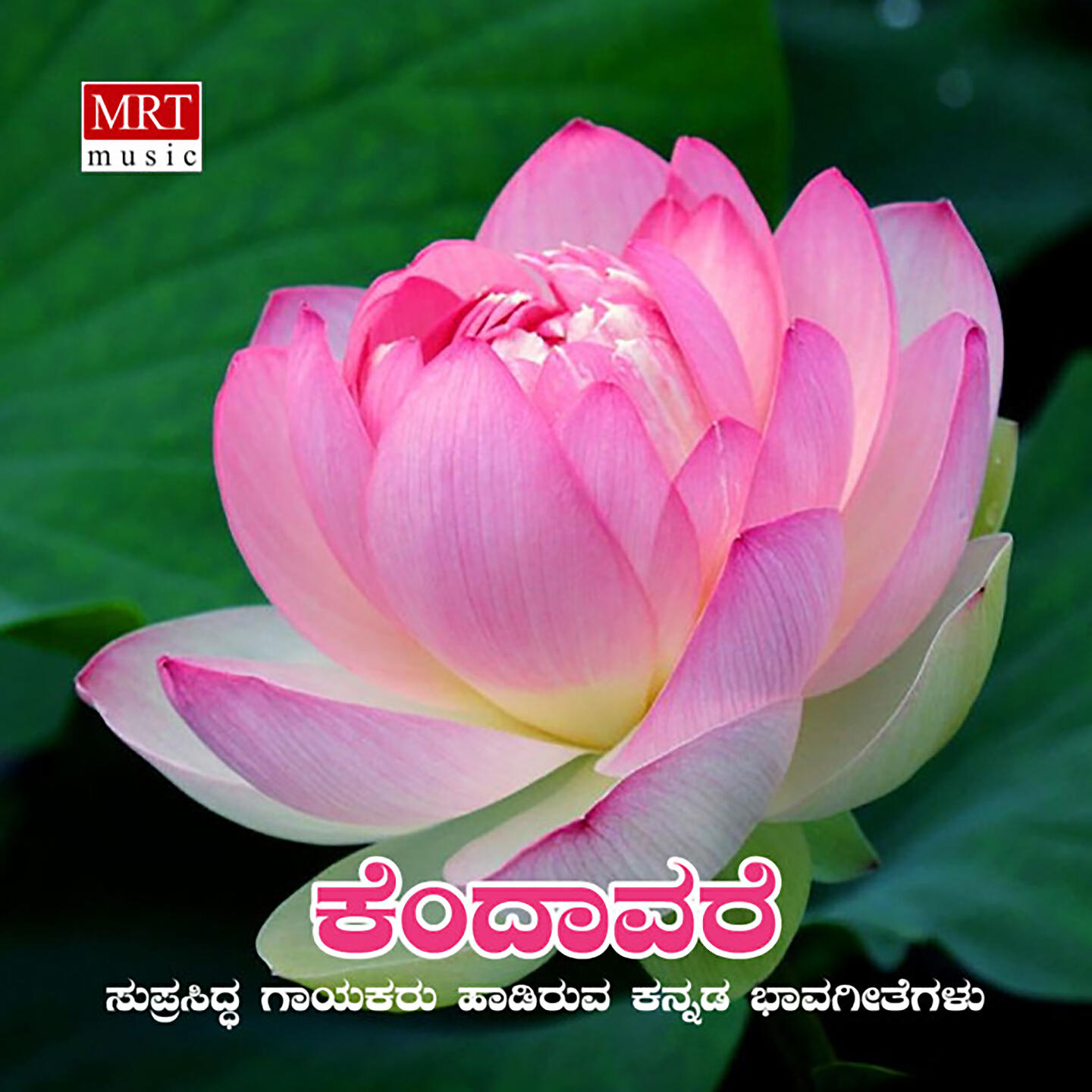 Shankar - Konegaanade Kasthuri