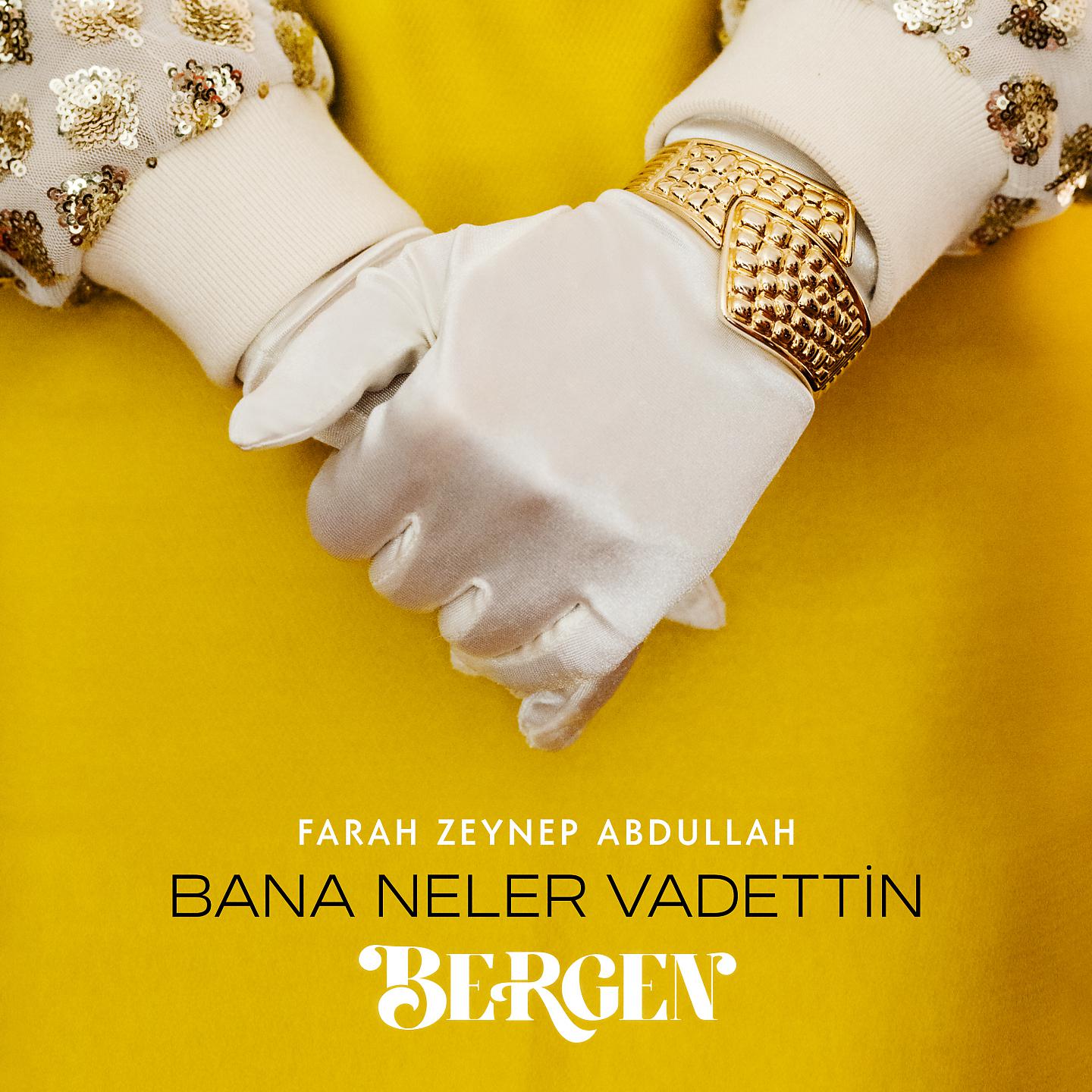 Постер альбома Bana Neler Vadettin