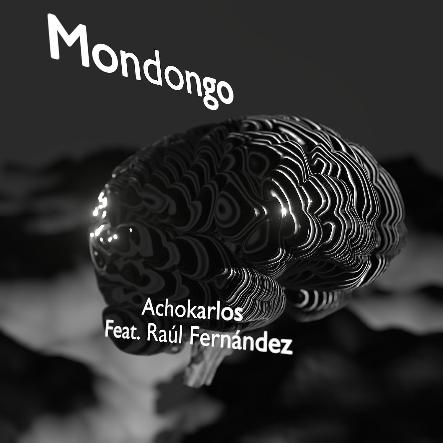 Постер альбома Mondongo