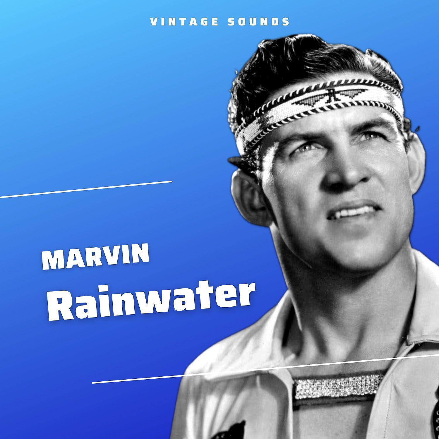 Постер альбома Marvin Rainwater - Vintage Sounds