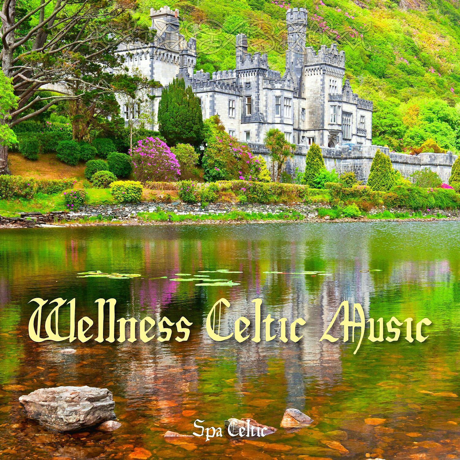 Постер альбома Wellness Celtic Music