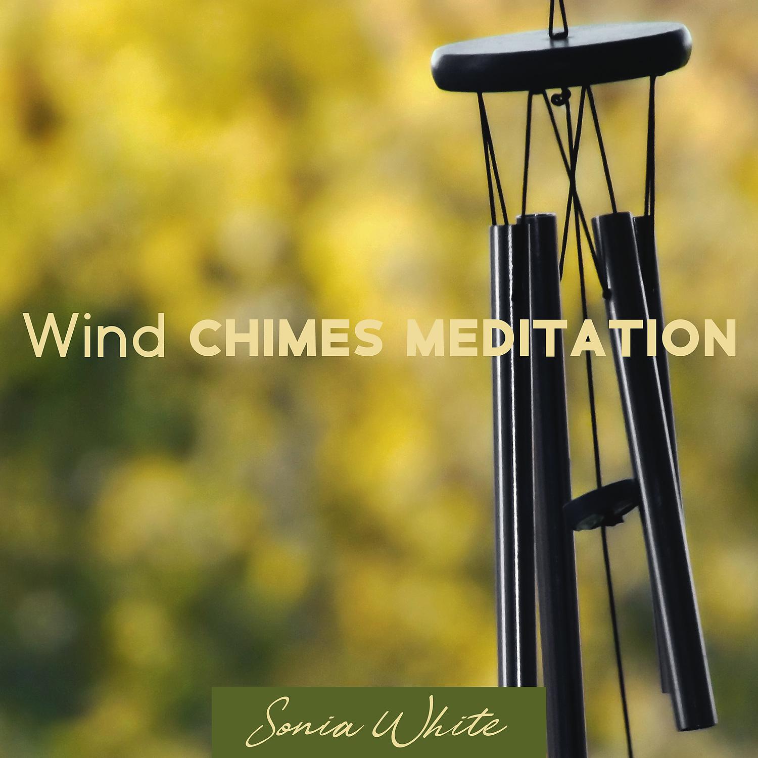 Постер альбома Wind Chimes Meditation: Relaxing Zen Music & Nature Sounds