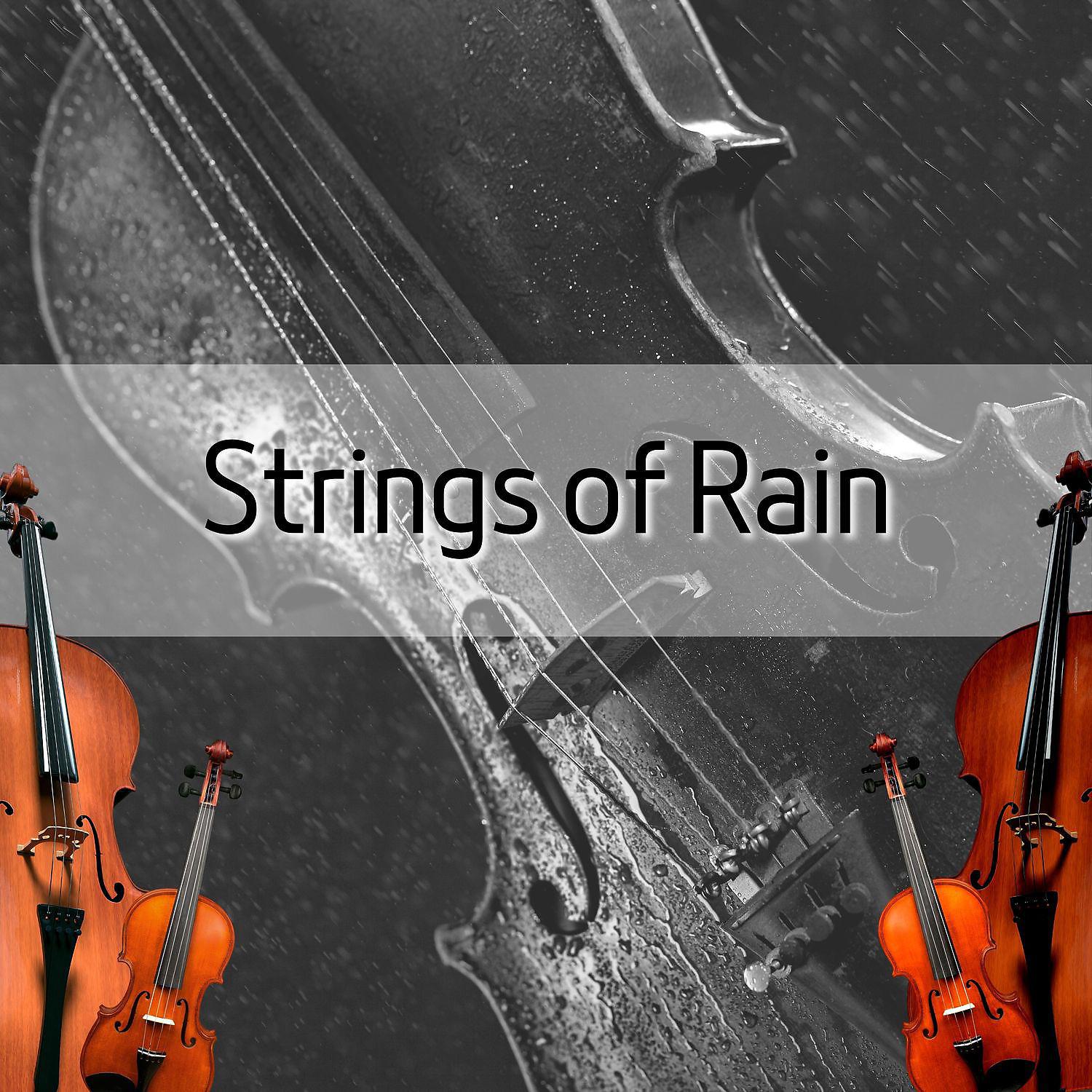 Постер альбома Strings of Rain