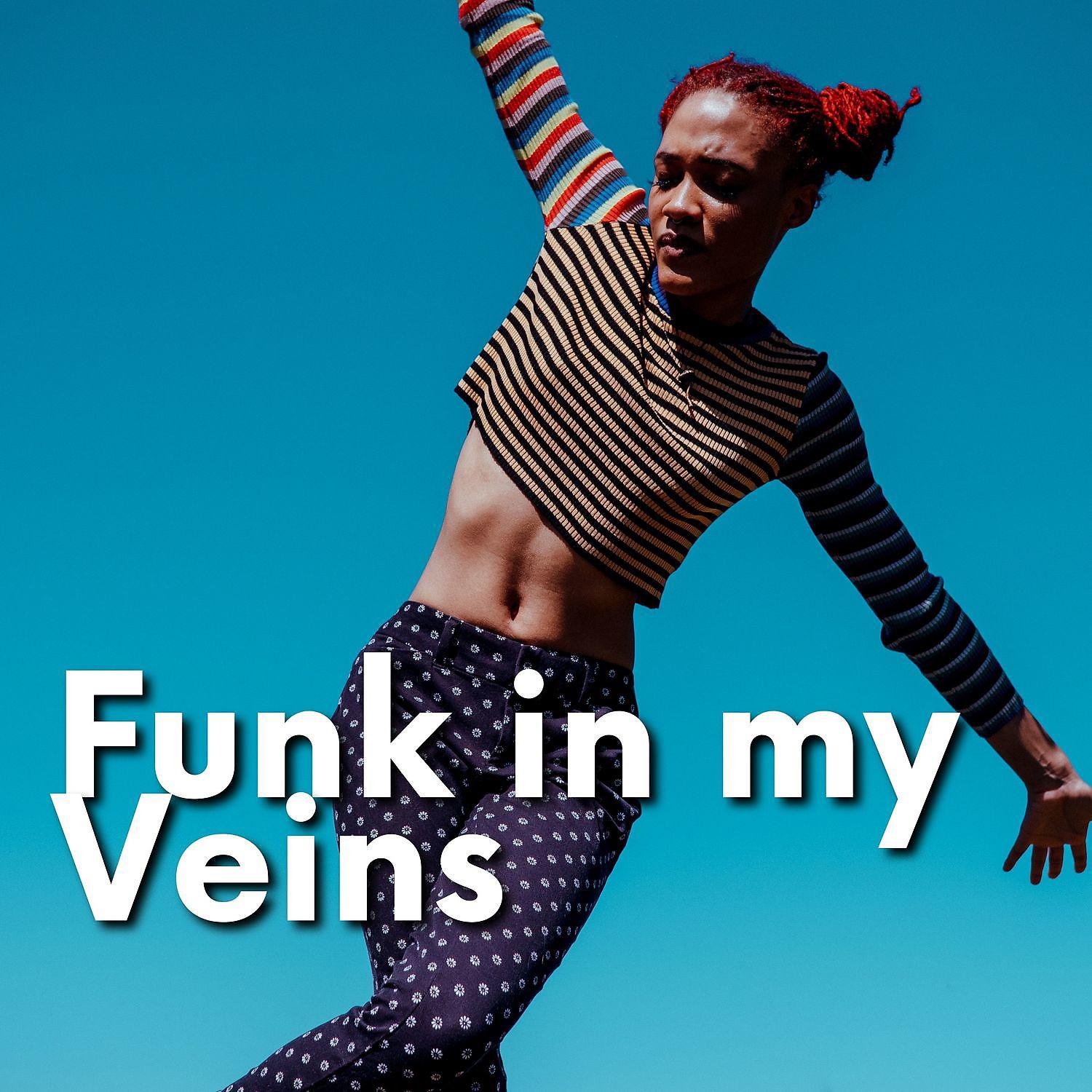 Постер альбома Funk in my Veins