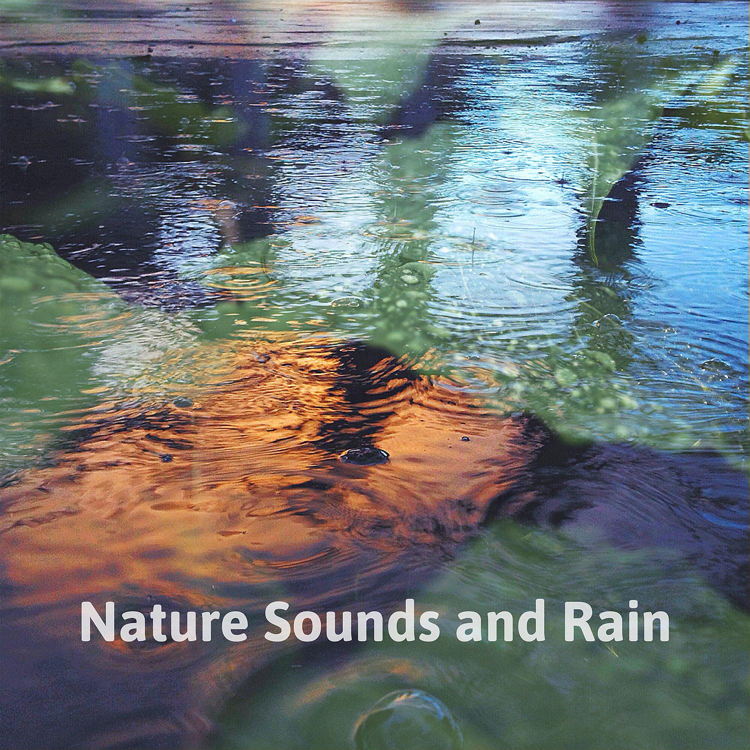 Постер альбома Nature Sounds and Rain – Relaxing Sounds of Water, Rain, Birds Singing for Massage, Yoga Classes, Spas & Wellness, Deep Sleep