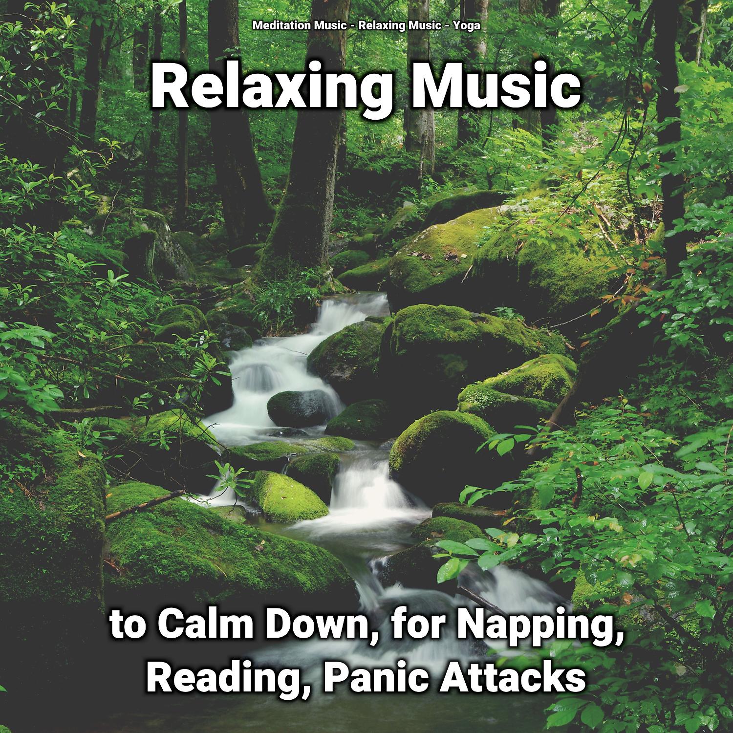 Постер альбома Relaxing Music to Calm Down, for Napping, Reading, Panic Attacks