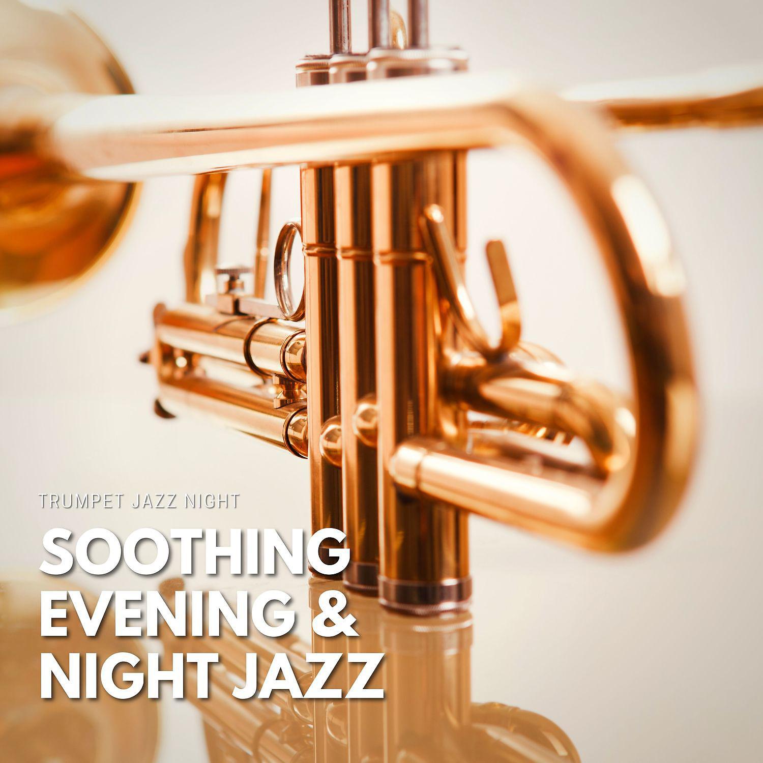 Постер альбома Soothing Evening & Night Jazz Relaxation