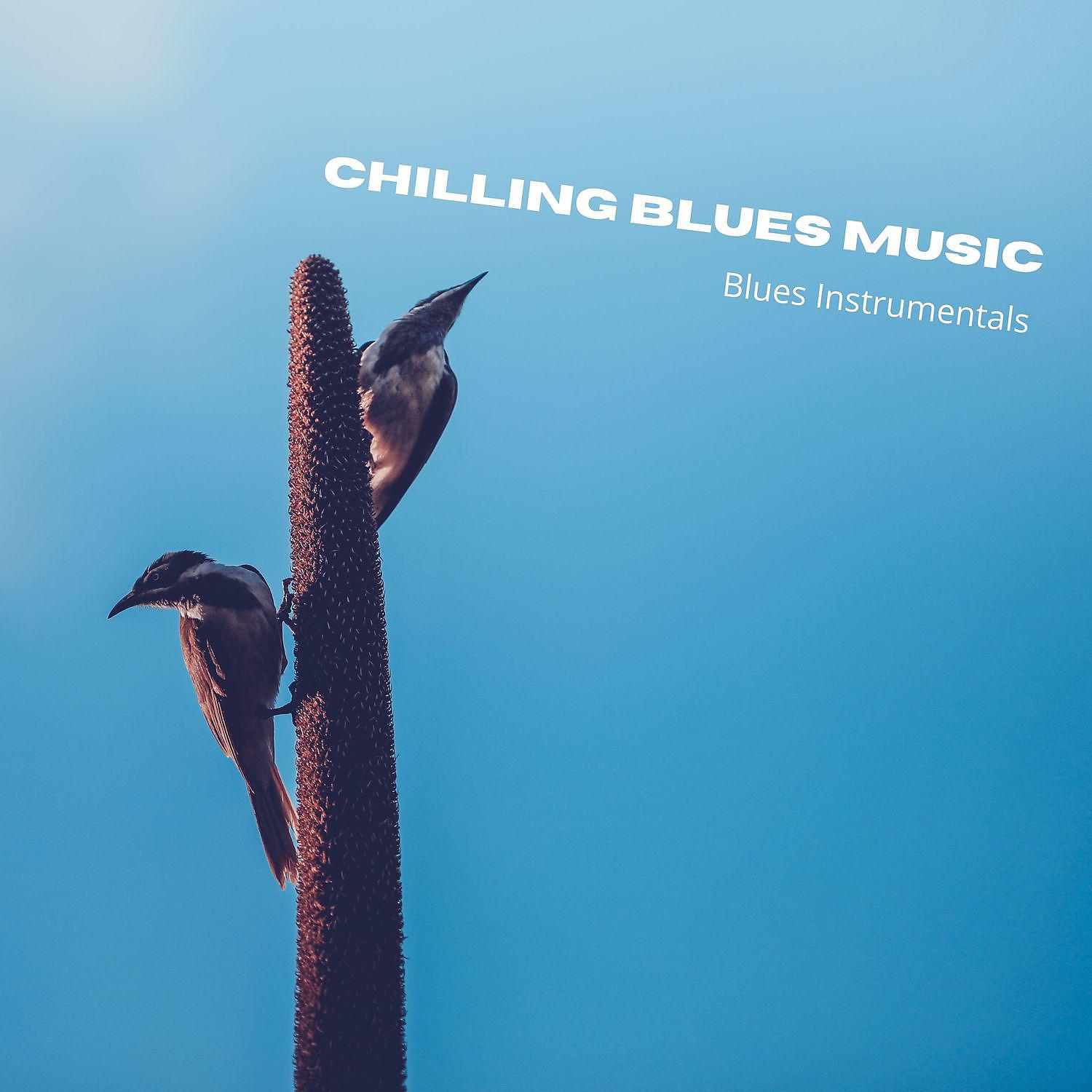 Постер альбома Chilling Blues Music