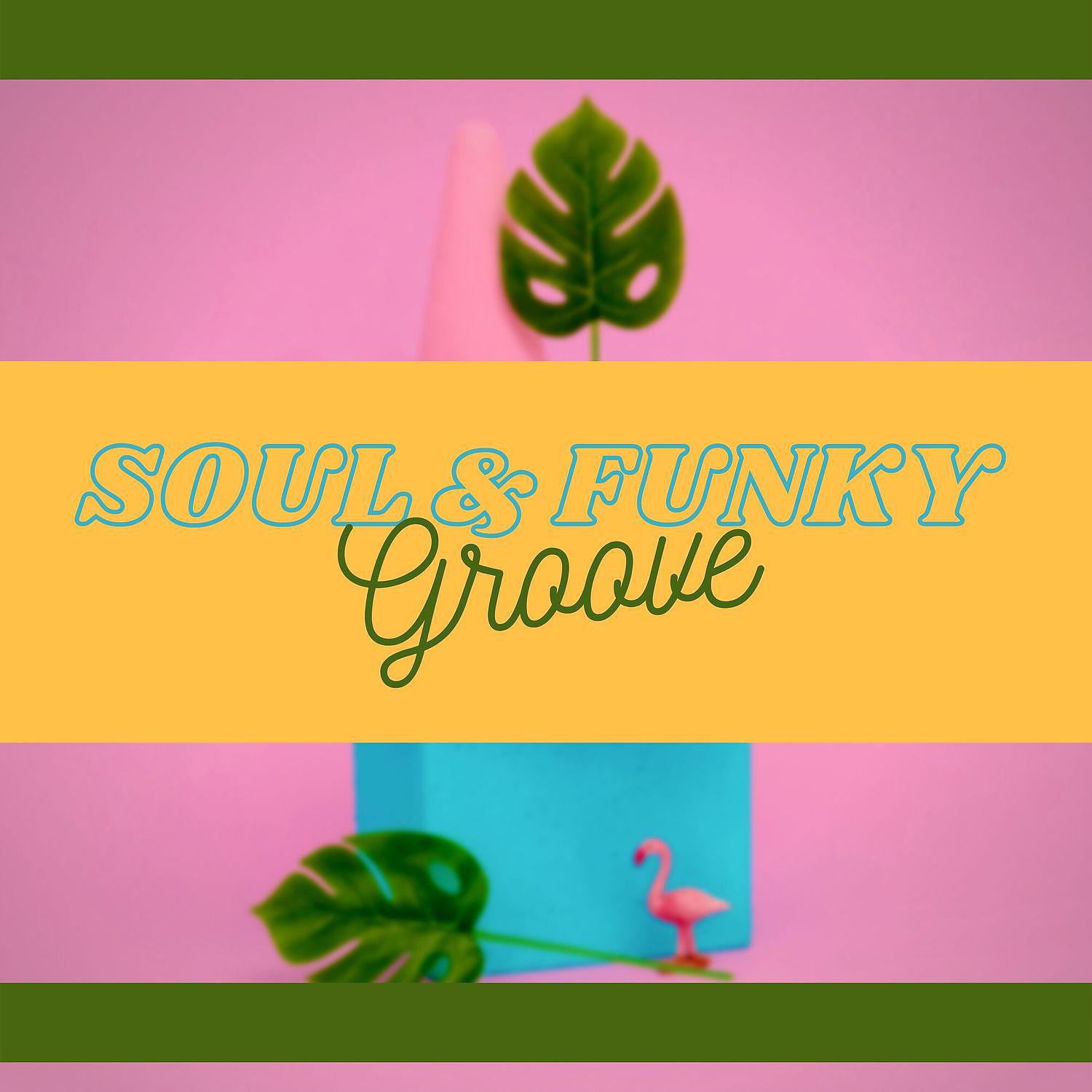 Постер альбома Soul & Funky Groove