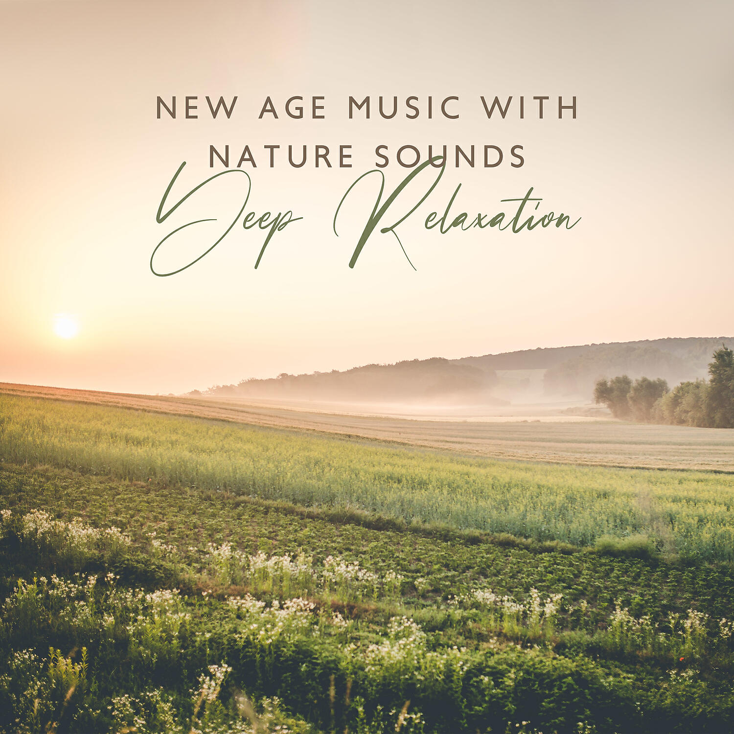 Natural Healing Music Zone - Slow Down: Nature Sounds for Stress Relief