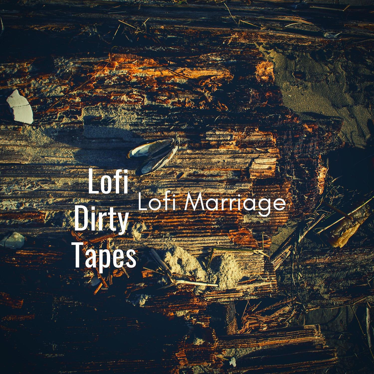Lofi Dirty Tapes - Revolution