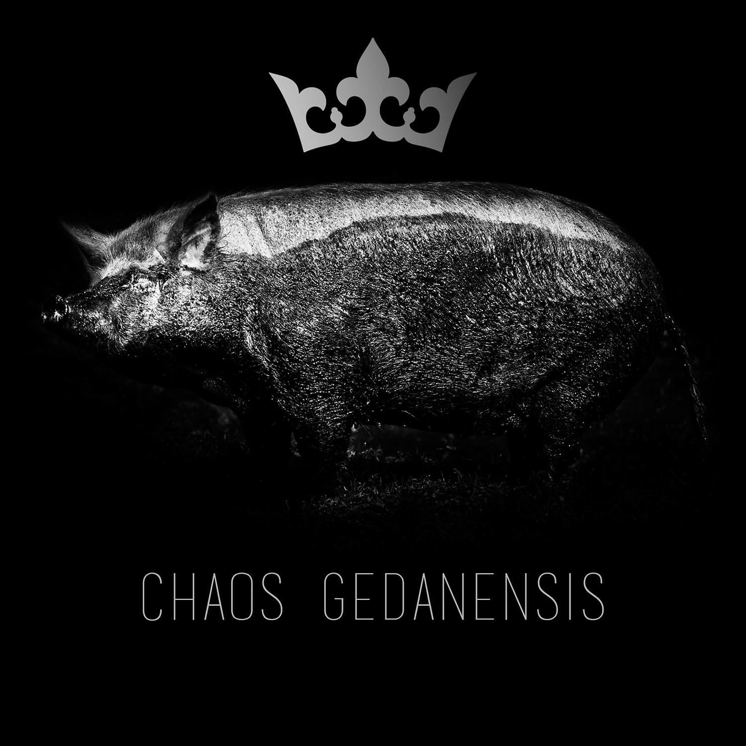Chaos Gedanensis - U cioci