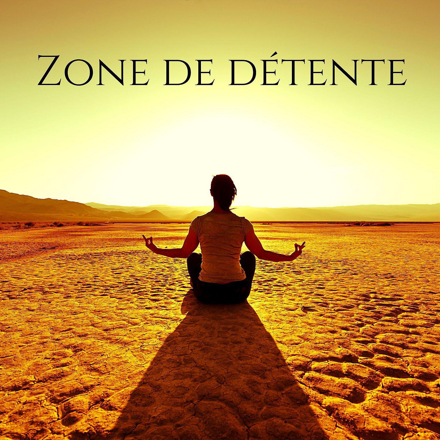 Постер альбома Zone de détente & Musique de méditation de pleine conscience