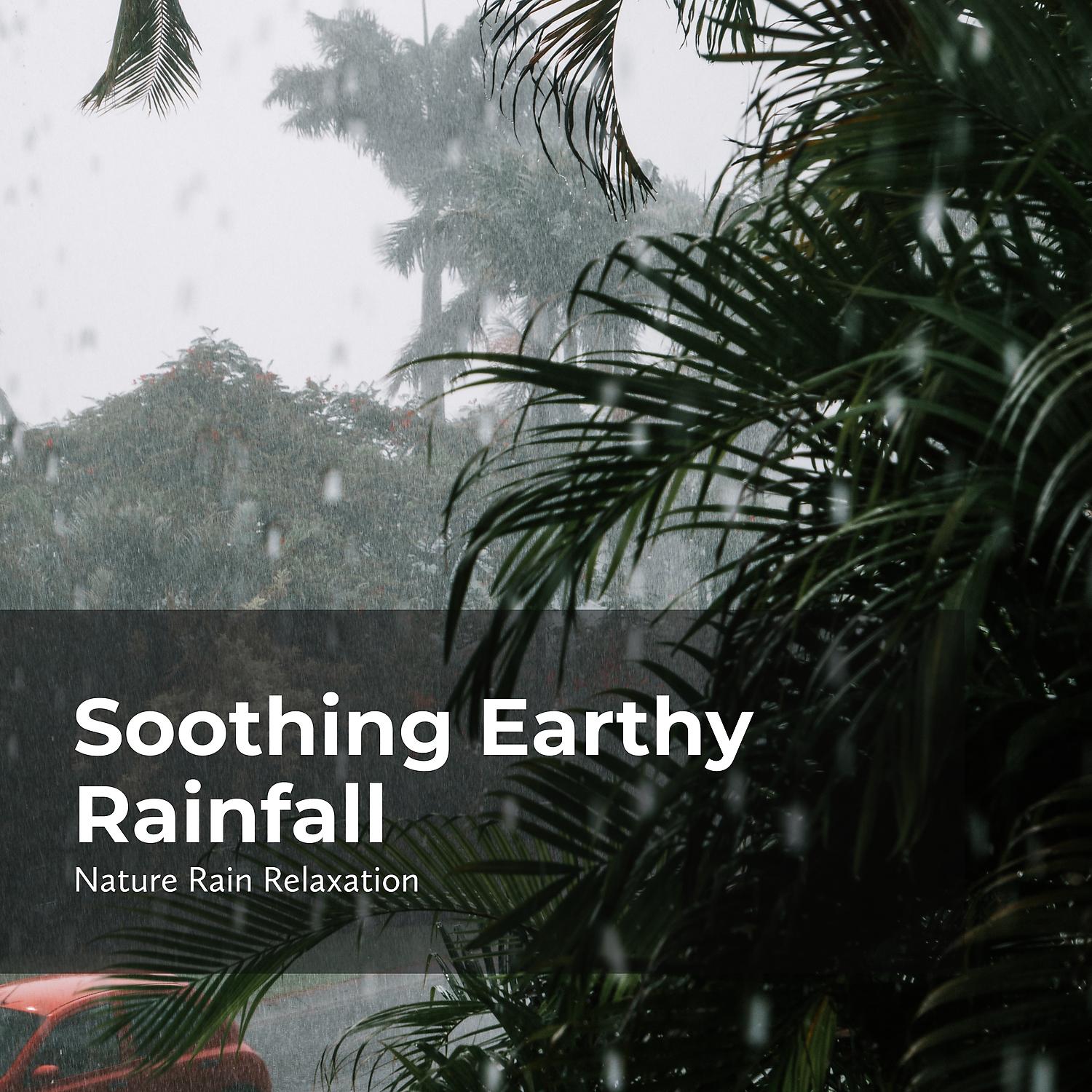 Постер альбома Soothing Earthy Rainfall
