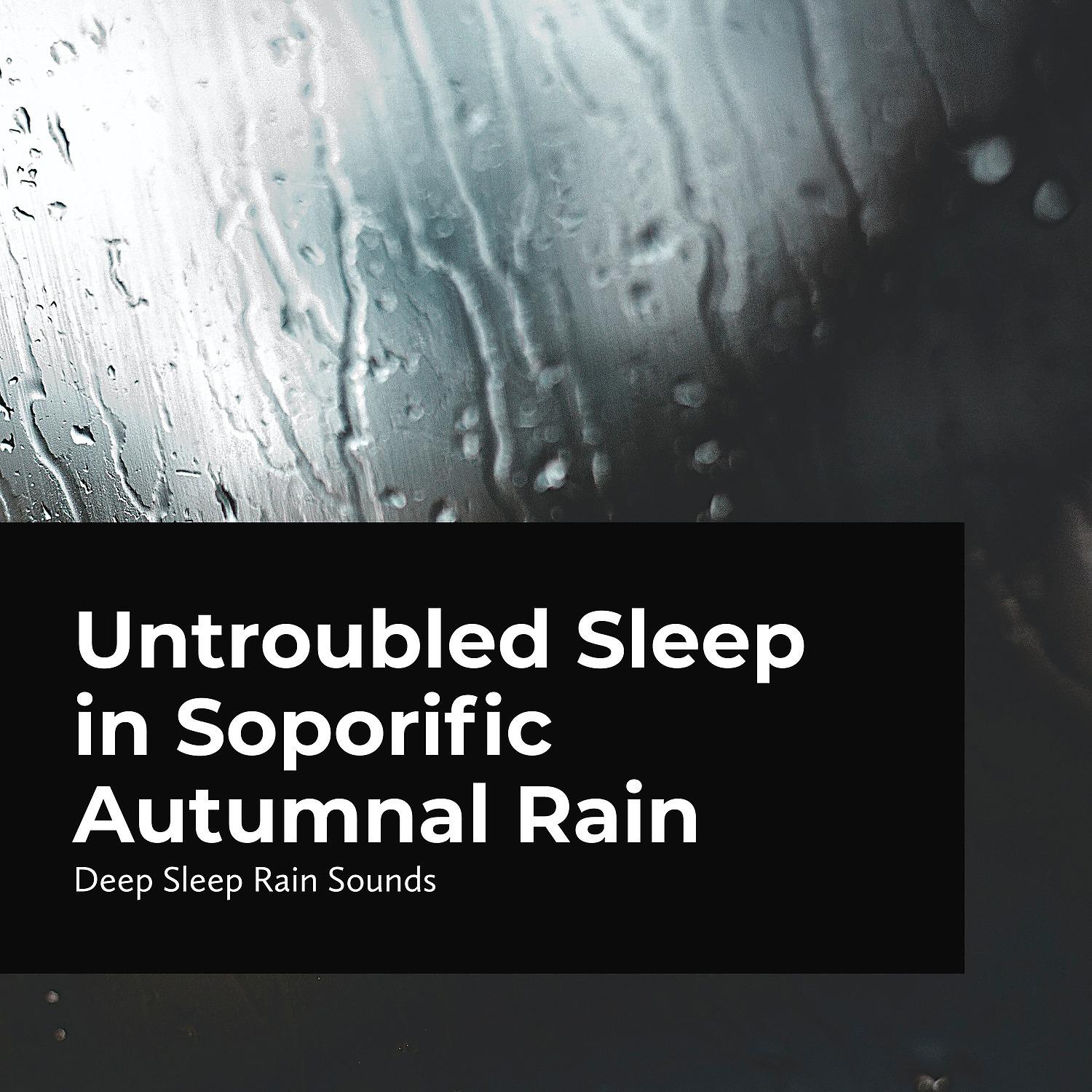 Постер альбома Untroubled Sleep in Soporific Autumnal Rain