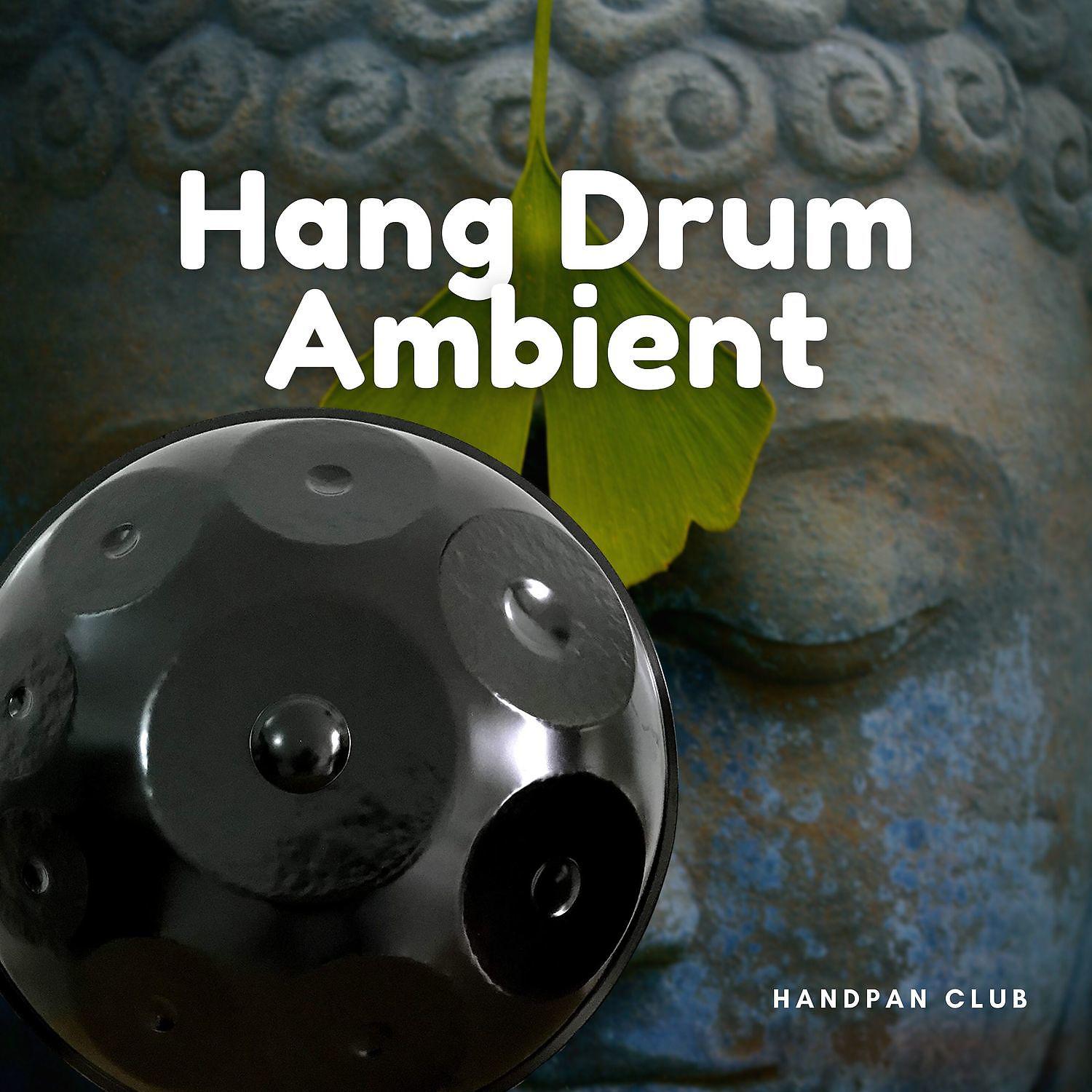 Постер альбома Hang Drum Ambient