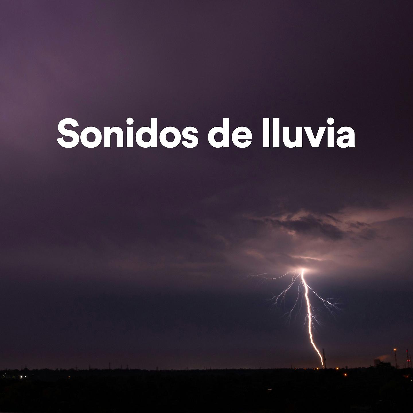 Постер альбома Sonidos de Lluvia