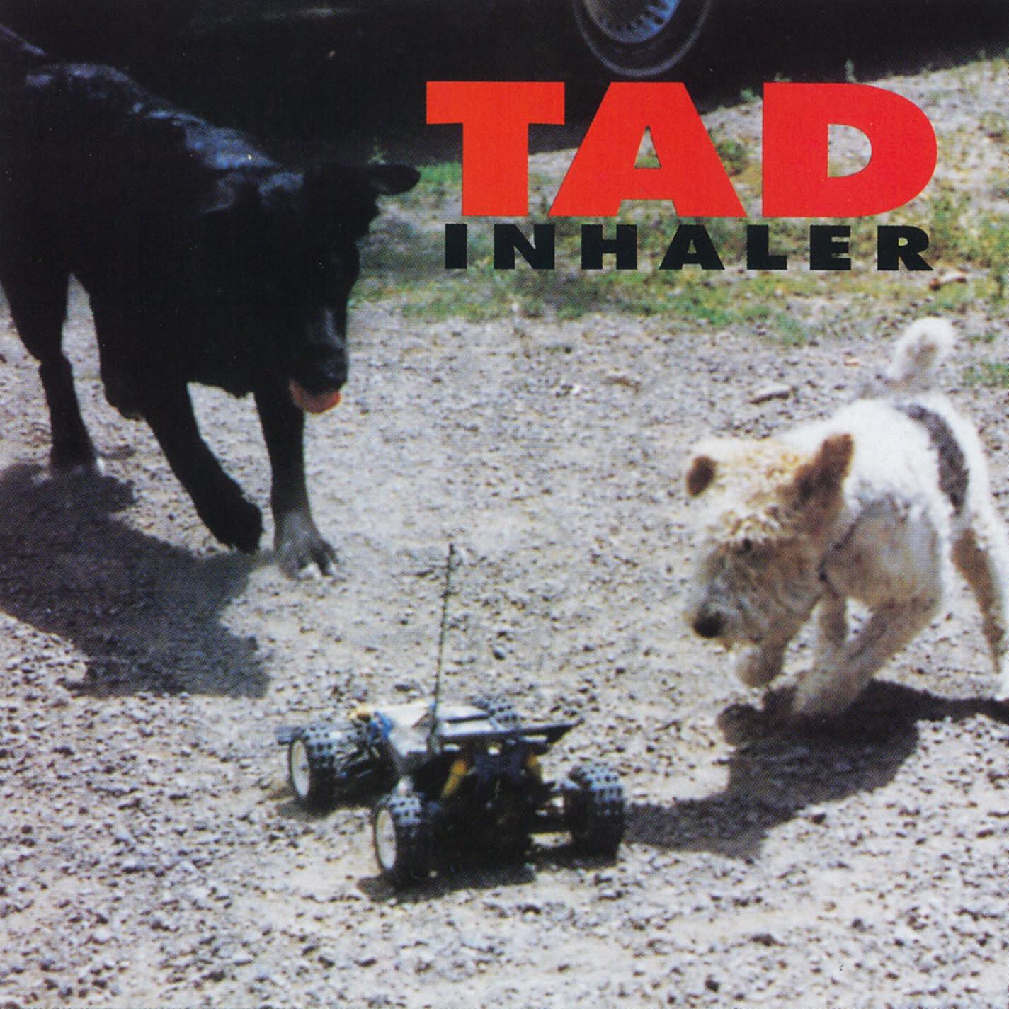 TAD - Luminol