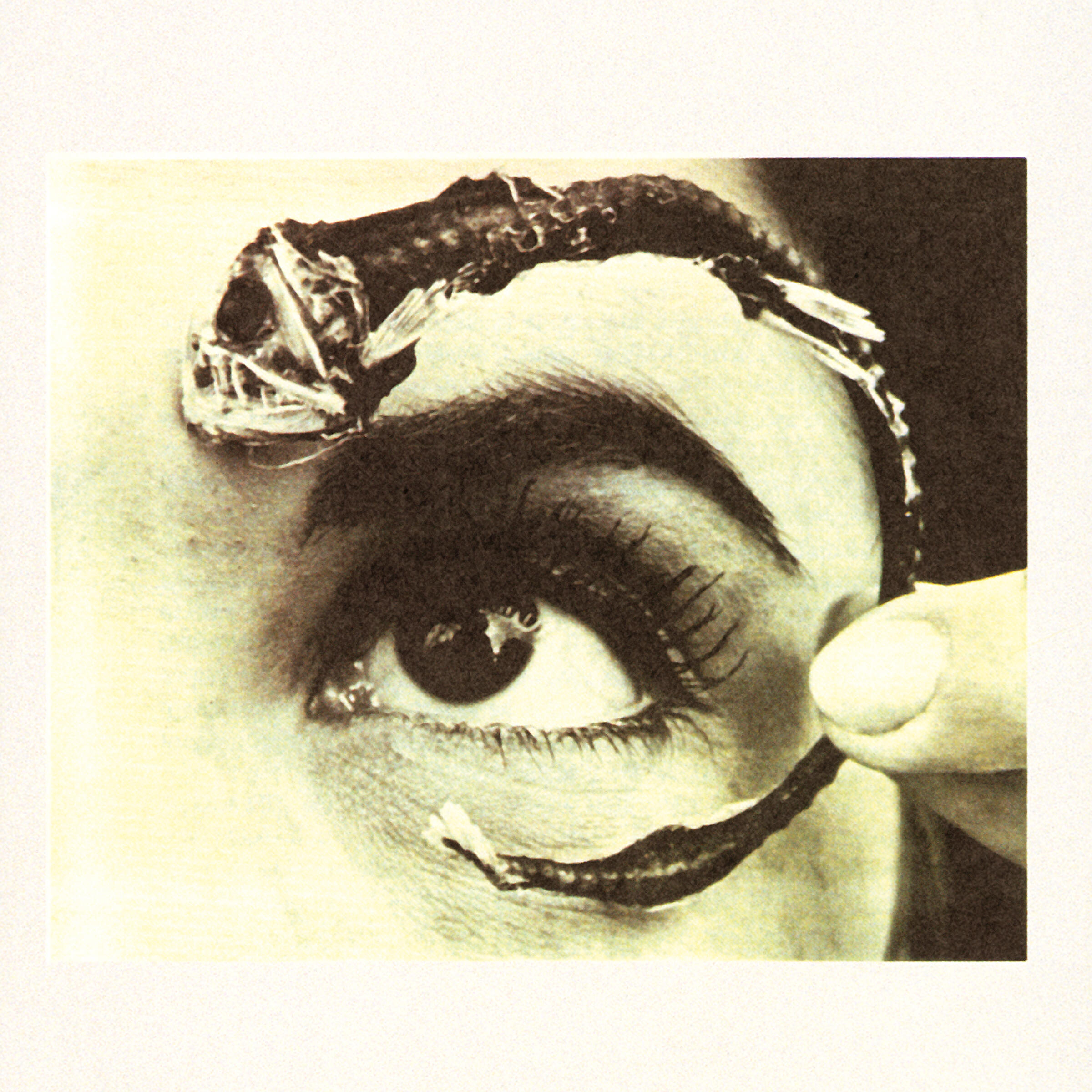 Mr. Bungle - Carry Stress in the Jaw