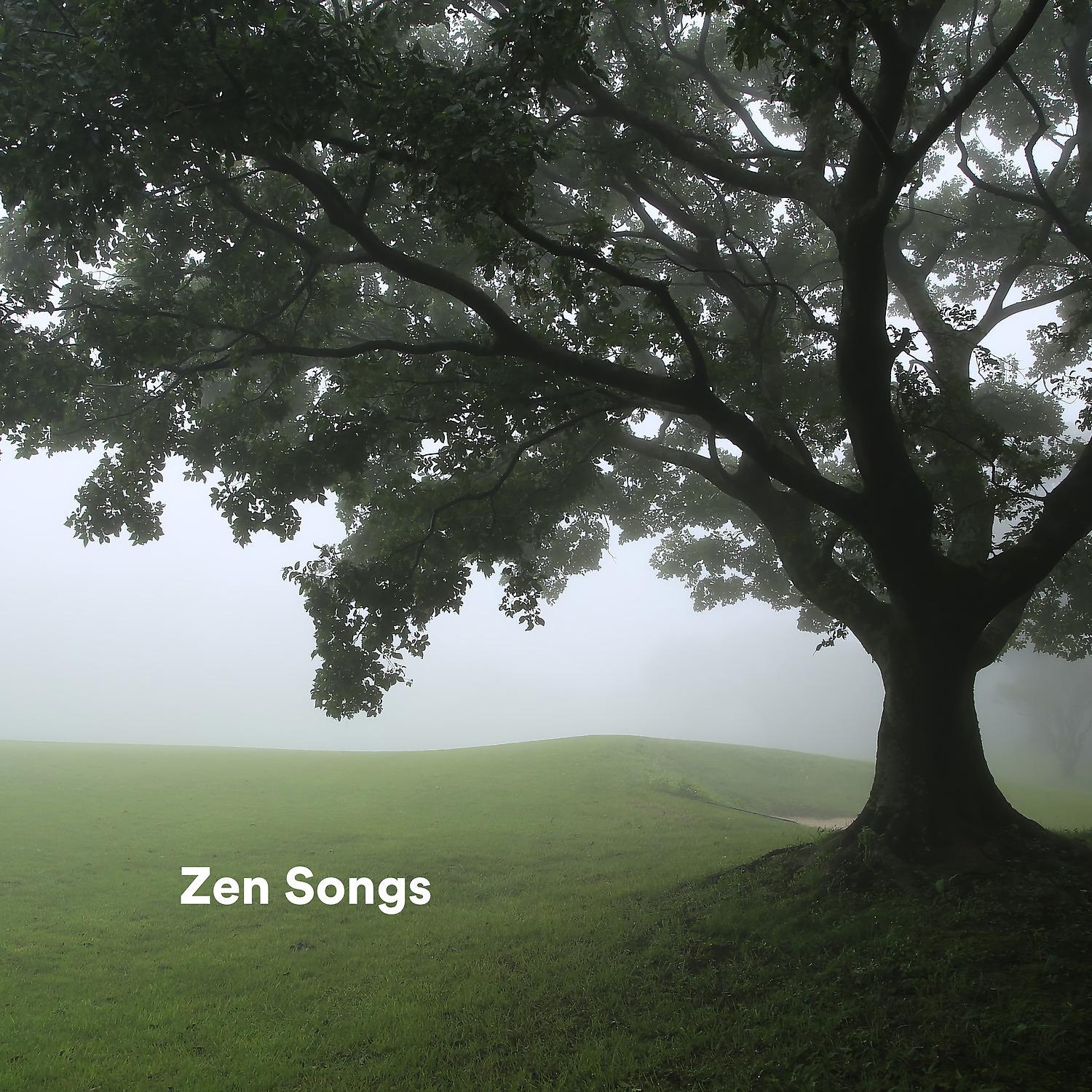 Постер альбома Zen Songs