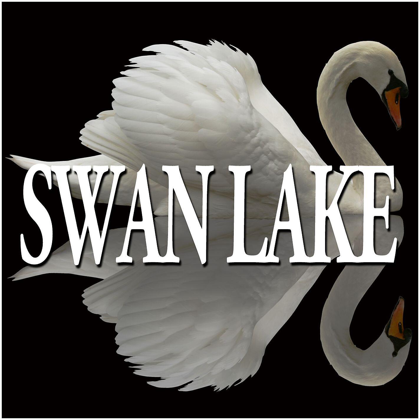 Alexander Lazarev - Swan Lake Op.20 : VI Spanish Dance