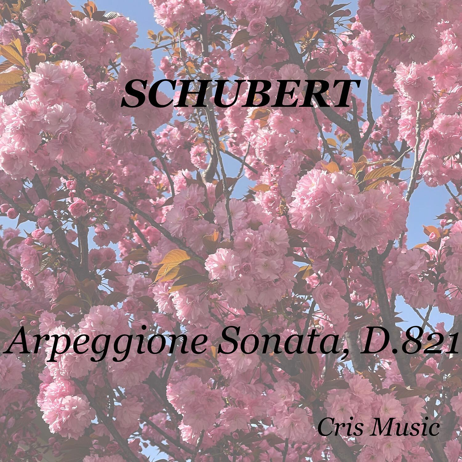 Emanuel Feuermann - Arpeggione Sonata, D.821, 1. Allegro moderato